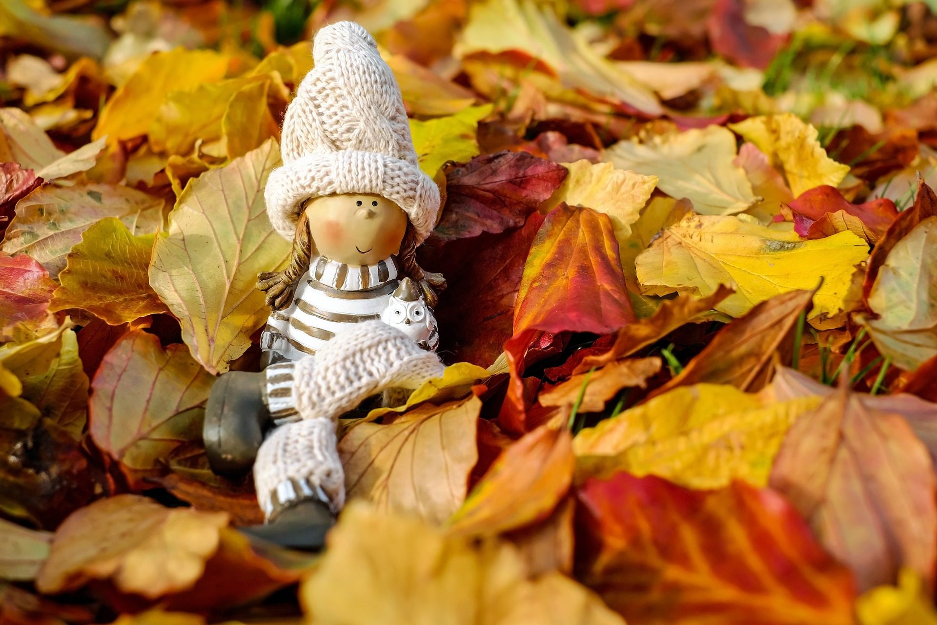 Обои природа, осень, игрушка, кукла, шапочка, фигурка, осенние листья, nature, autumn, toy, doll, cap, figure, autumn leaves разрешение 1920x1280 Загрузить