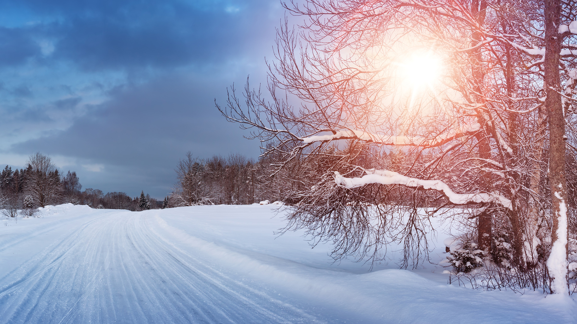 Обои дорога, деревья, снег, природа, лес, зима, анна, anna grigorjeva, road, trees, snow, nature, forest, winter, anna разрешение 1920x1080 Загрузить