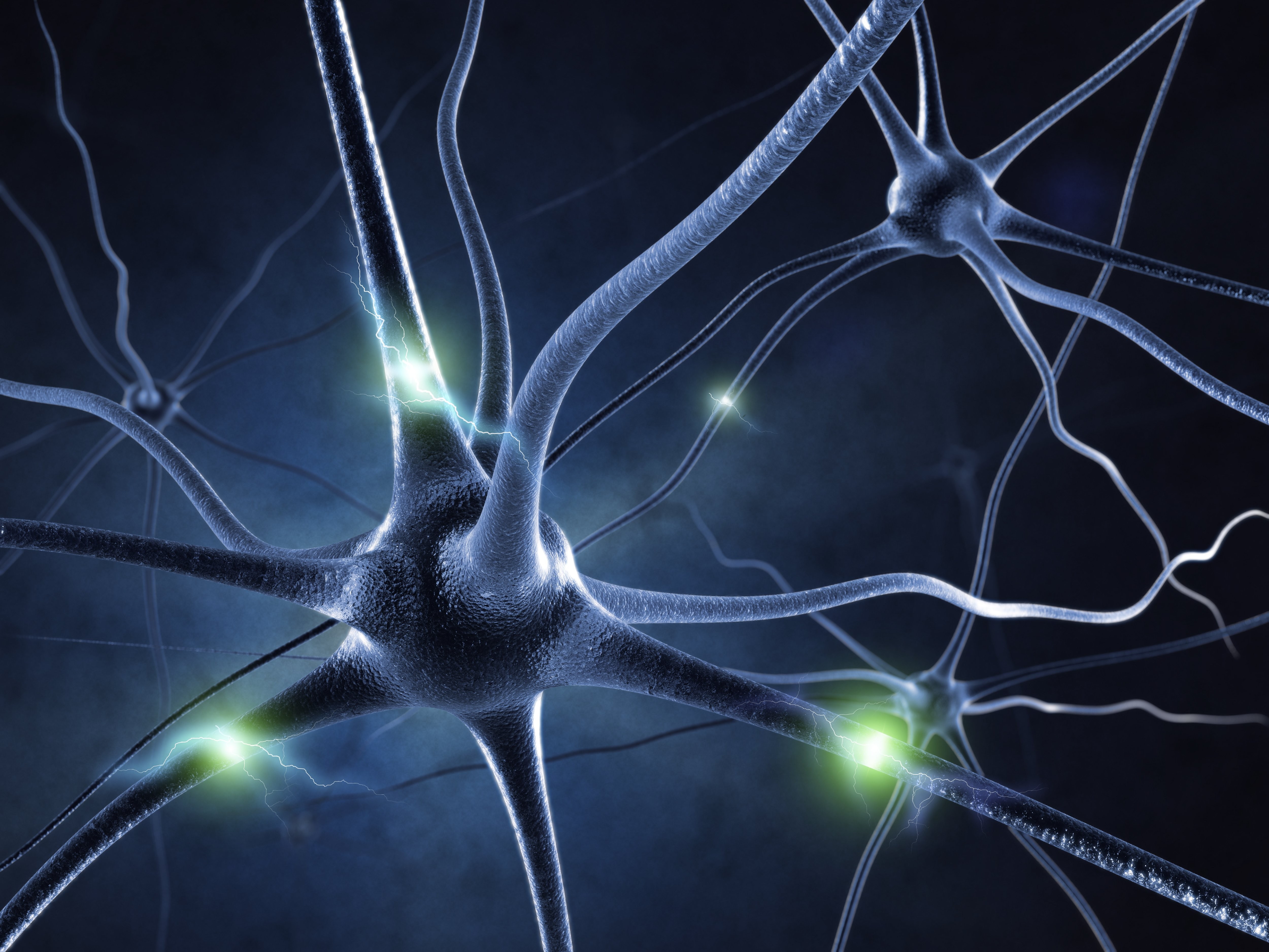 Как создать нейронную связь. Нейрон клетка головного мозга. Нервная система человека Нейрон. Нейронные клетки головного мозга. Нейросеть синапс.