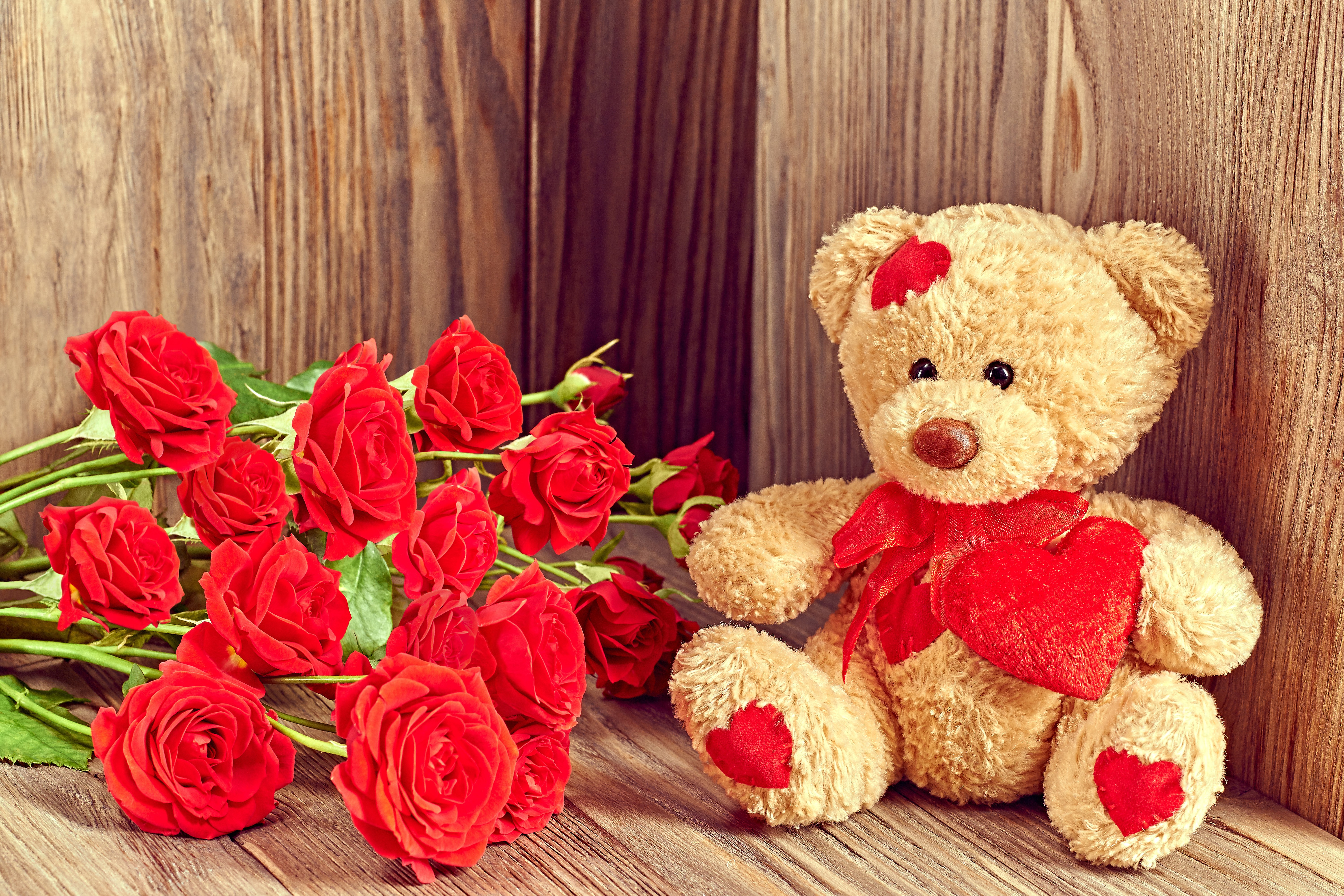 Обои цветы, валентинов день, розы, мишка, любовь, букет, тедди, подарок, плюшевый медведь, flowers, valentine's day, roses, bear, love, bouquet, teddy, gift, teddy bear разрешение 6000x4000 Загрузить