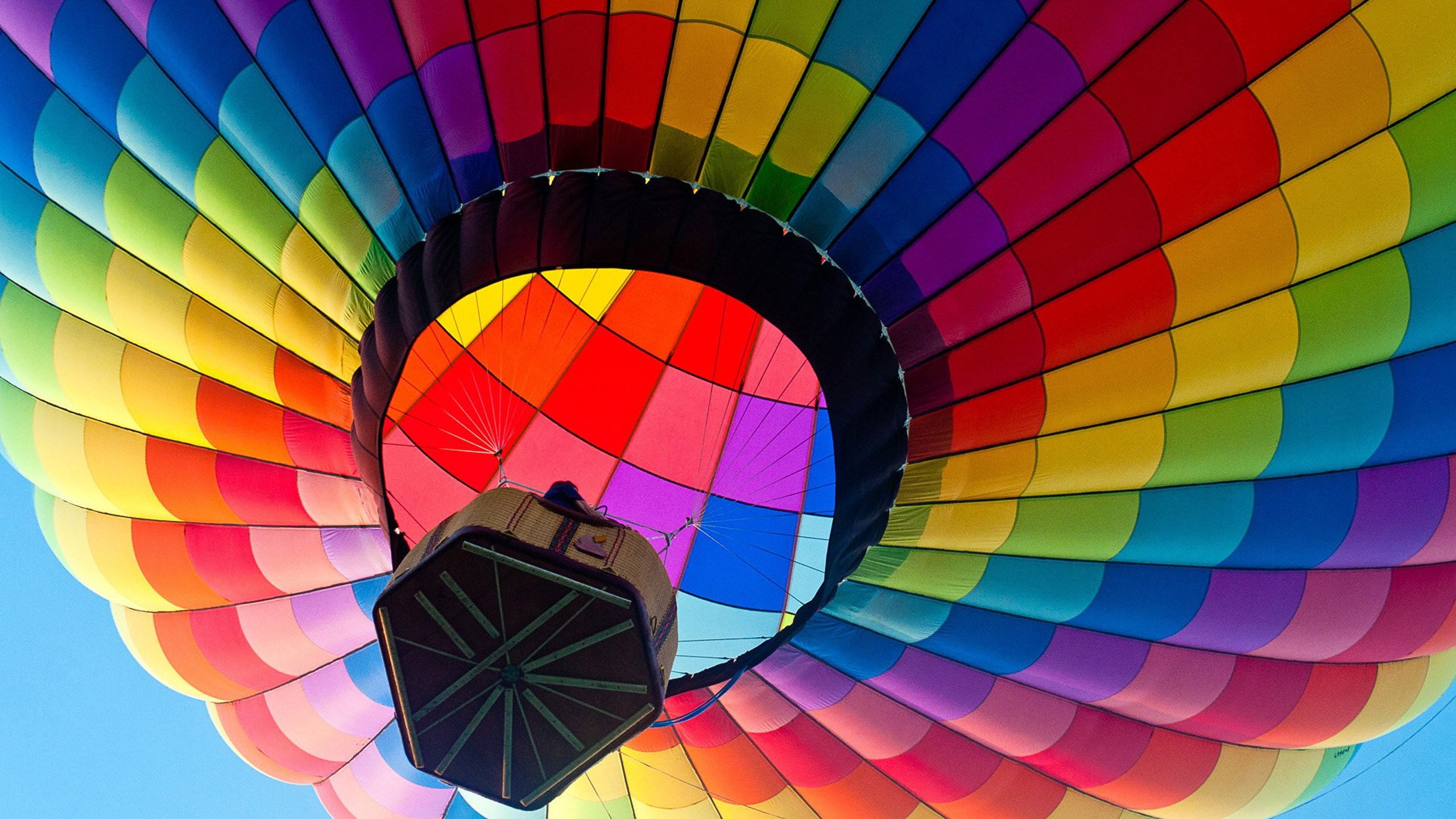 Обои небо, полет, разноцветный, корзина, воздушный шар, the sky, flight, colorful, basket, balloon разрешение 2560x1440 Загрузить