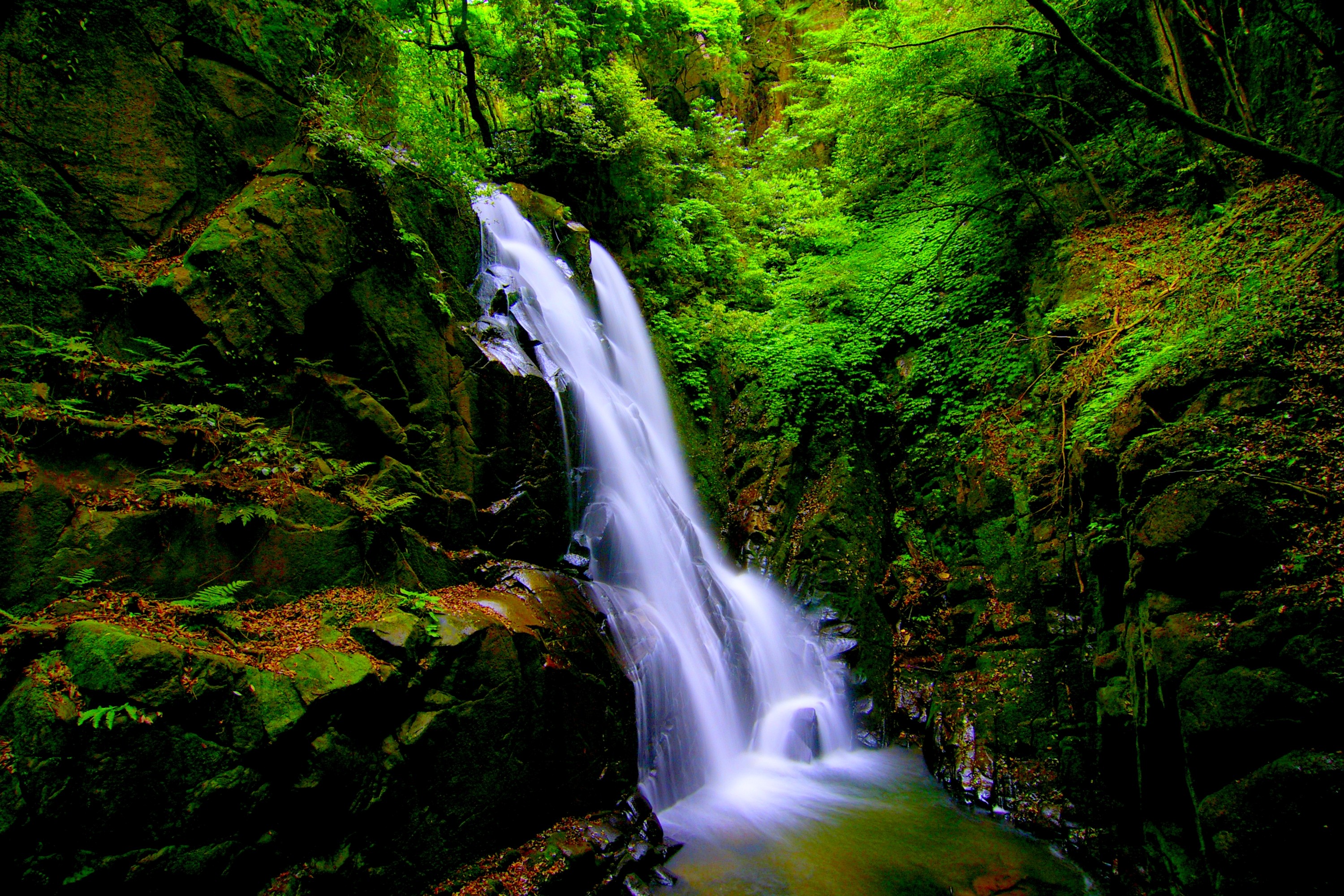 Обои камни, лес, пейзаж, скала, водопад, мох, stones, forest, landscape, rock, waterfall, moss разрешение 3000x2000 Загрузить