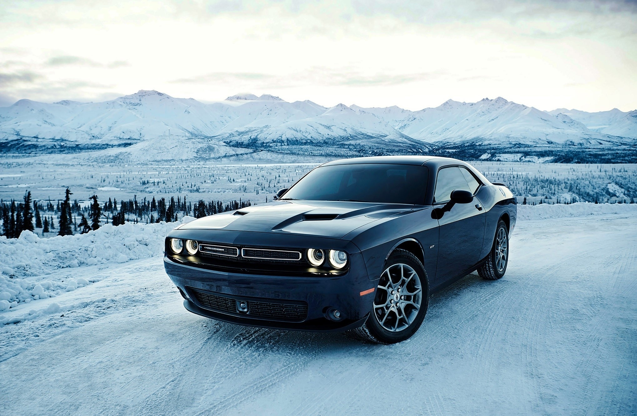 Скачать обои снег, зима, автомобили, додж, dodge challenger разрешение  1280x800 #157288