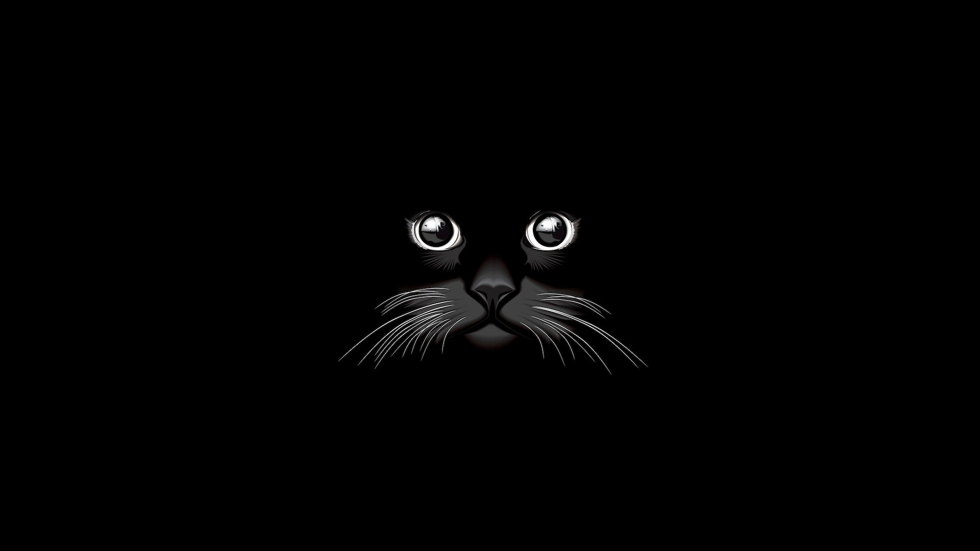 Обои вектор, кот, черный, графика, черный фон, vector, cat, black, graphics, black background разрешение 1920x1080 Загрузить