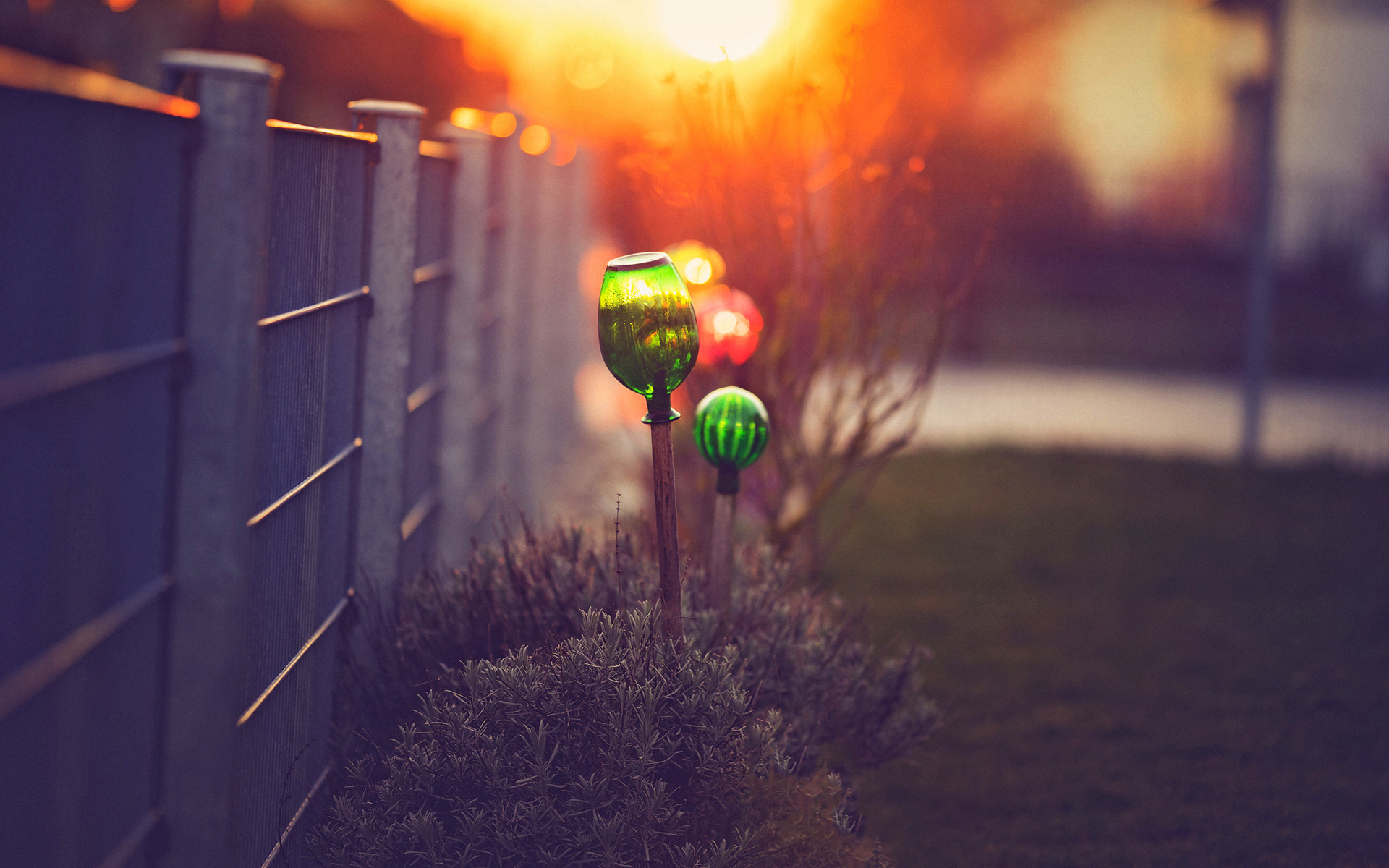 Обои макро, кусты, забор, боке, светильники, macro, the bushes, the fence, bokeh, lamps разрешение 1920x1200 Загрузить