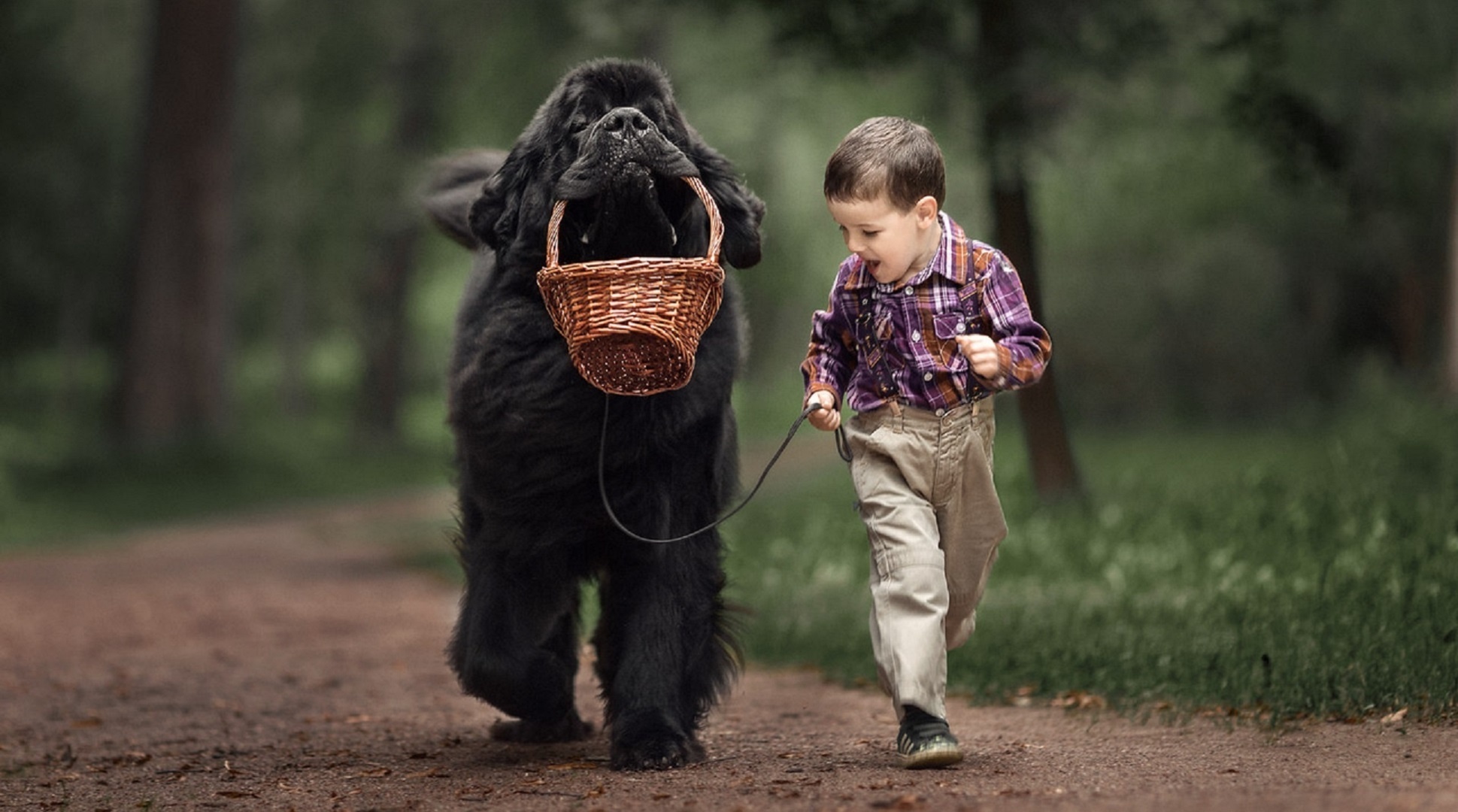 Мальчик и две собаки. Маленькие дети и их большие собаки фотопроект Андрея Селиверстова. Маленькие дети и большие собаки фото Андрея Селиверстова. Дети с животными.