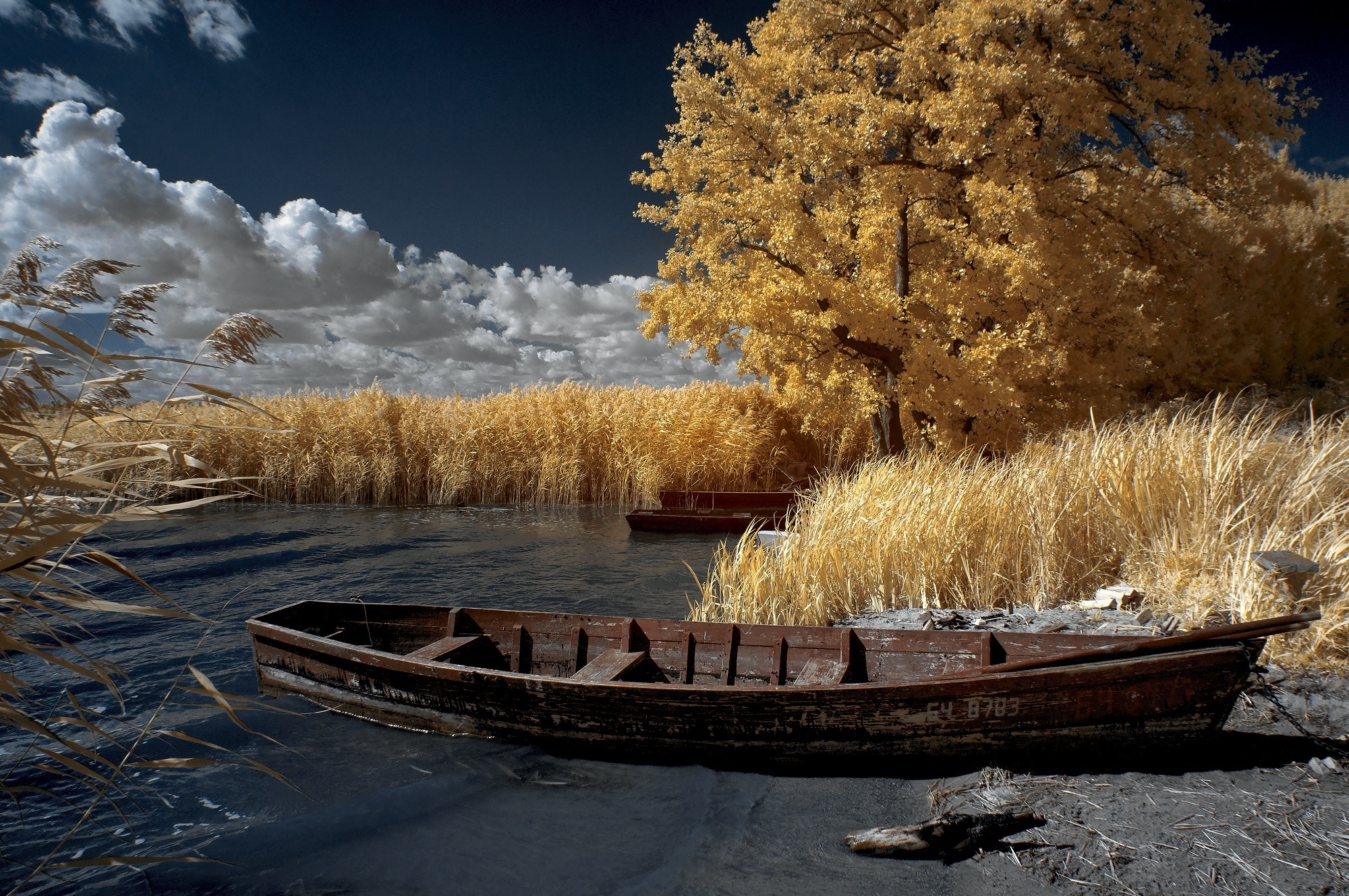 Обои небо, облака, деревья, вода, пейзаж, осень, лодка, камыши, the sky, clouds, trees, water, landscape, autumn, boat, the reeds разрешение 2000x1329 Загрузить