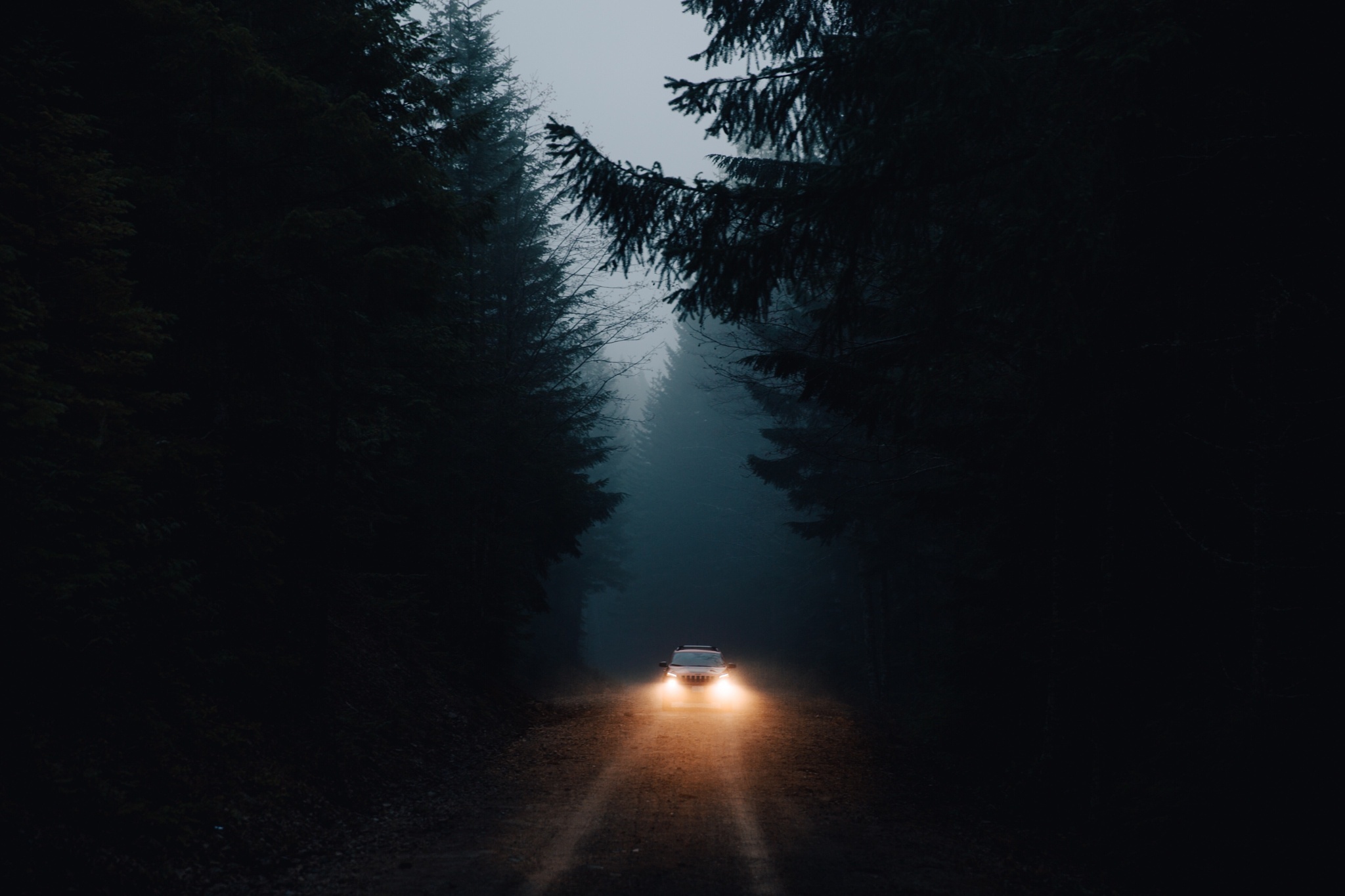 Обои свет, дорога, лес, машина, темнота, фары, light, road, forest, machine, darkness, lights разрешение 2048x1365 Загрузить