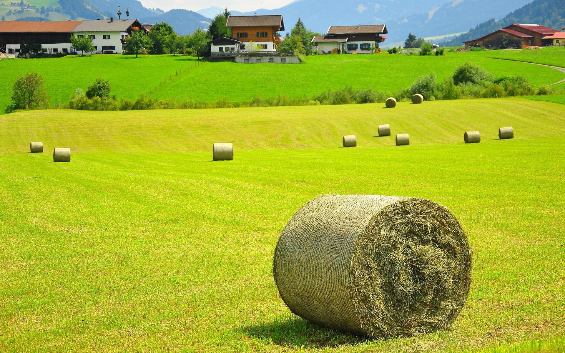 Сельское хоз Австрии