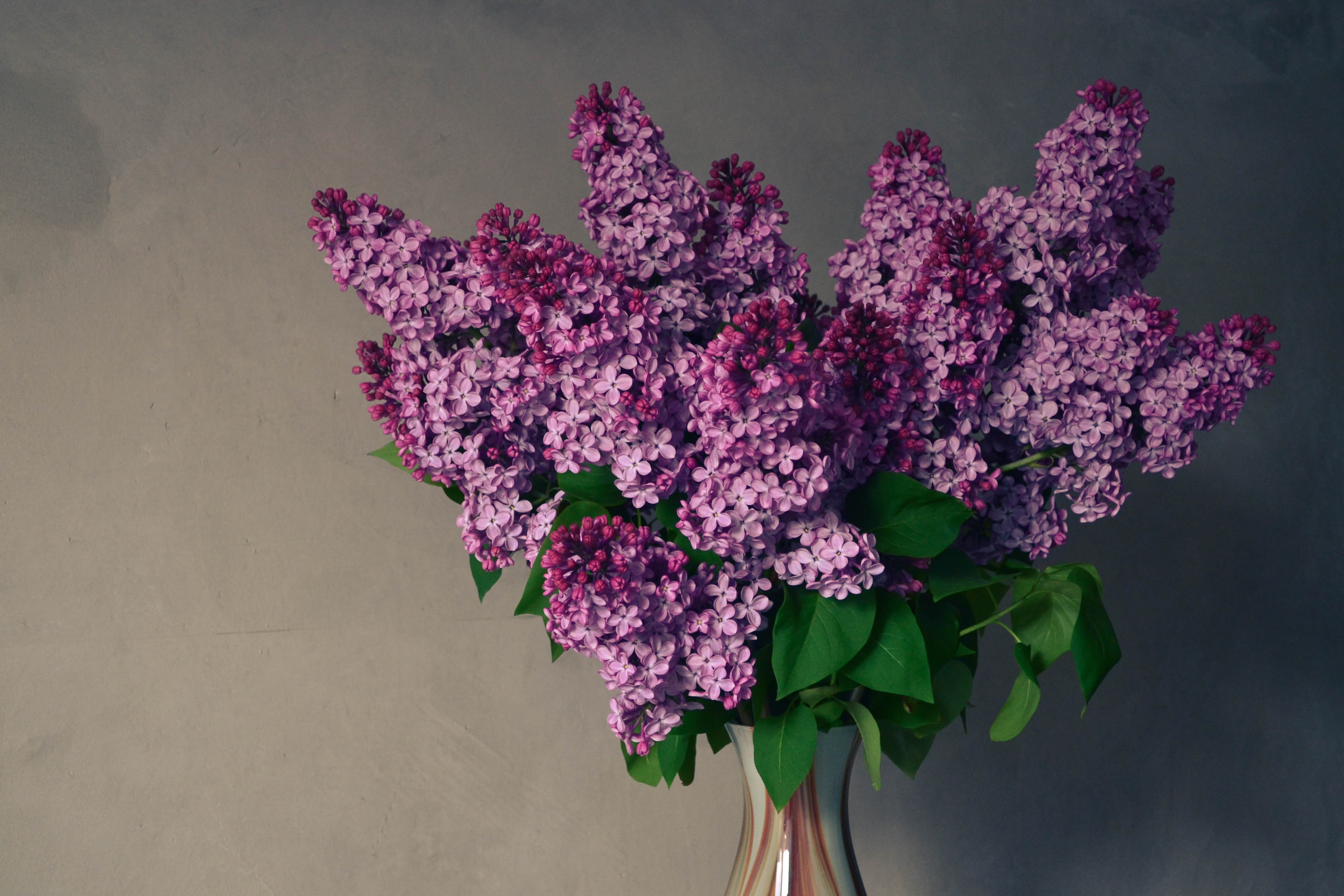 Обои цветы, весна, букет, ваза, сирень, композиция, flowers, spring, bouquet, vase, lilac, composition разрешение 3456x2304 Загрузить