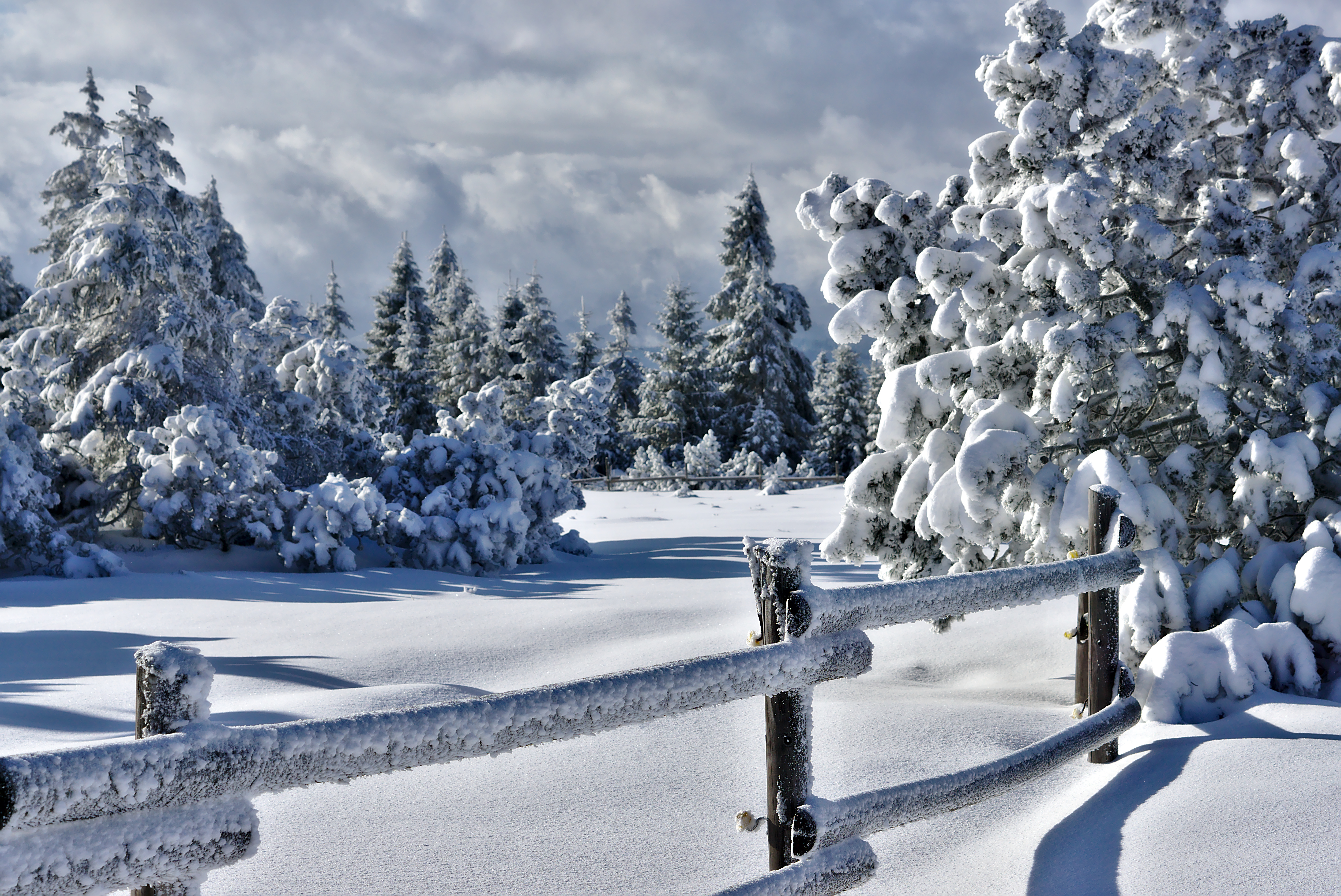 Вид зимы. Зимняя природа. Зима снег. Красивая зима. Сказочный зимний лес.
