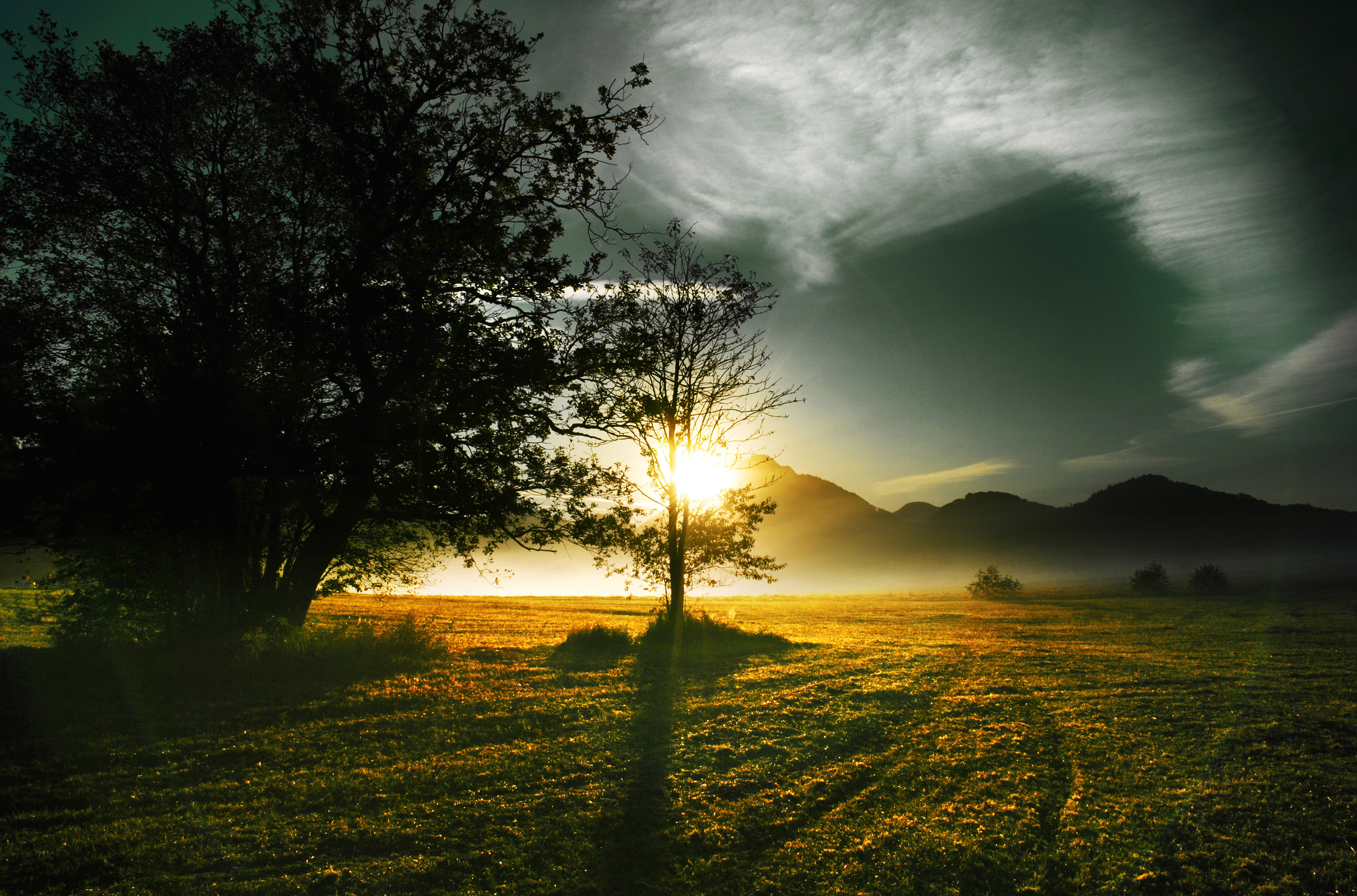 Обои трава, рассвет, солнце, холмы, дерево, лучи, пейзаж, утро, туман, grass, dawn, the sun, hills, tree, rays, landscape, morning, fog разрешение 3816x2520 Загрузить