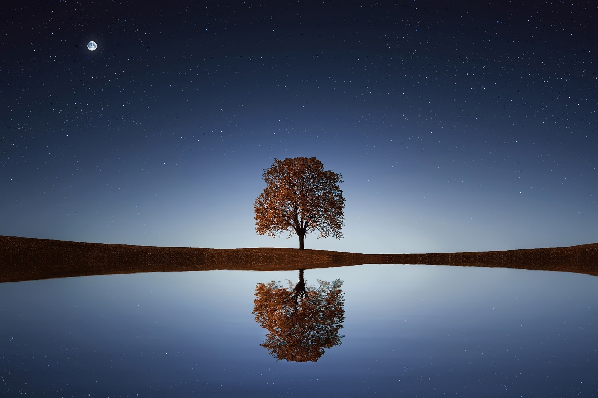 Обои небо,     дерево, ночь, вода, озеро, дерево, отражение, звезды, горизонт, the sky, night, water, lake, tree, reflection, stars, horizon разрешение 1920x1278 Загрузить