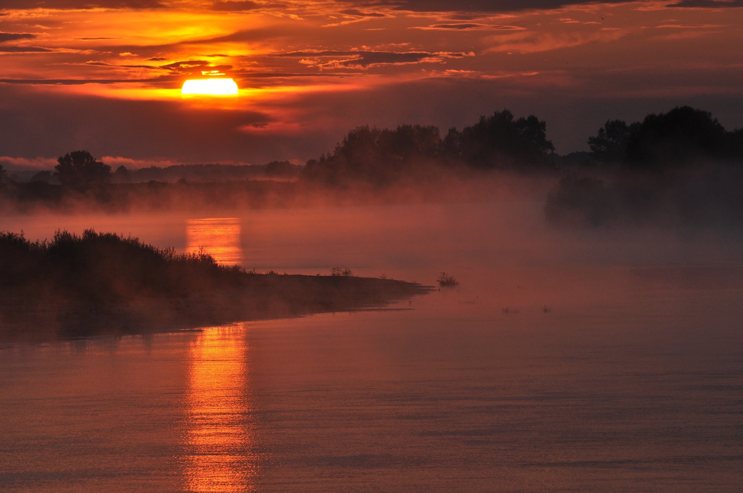 Обои небо, облака, деревья, река, солнце, утро, туман, the sky, clouds, trees, river, the sun, morning, fog разрешение 2560x1700 Загрузить