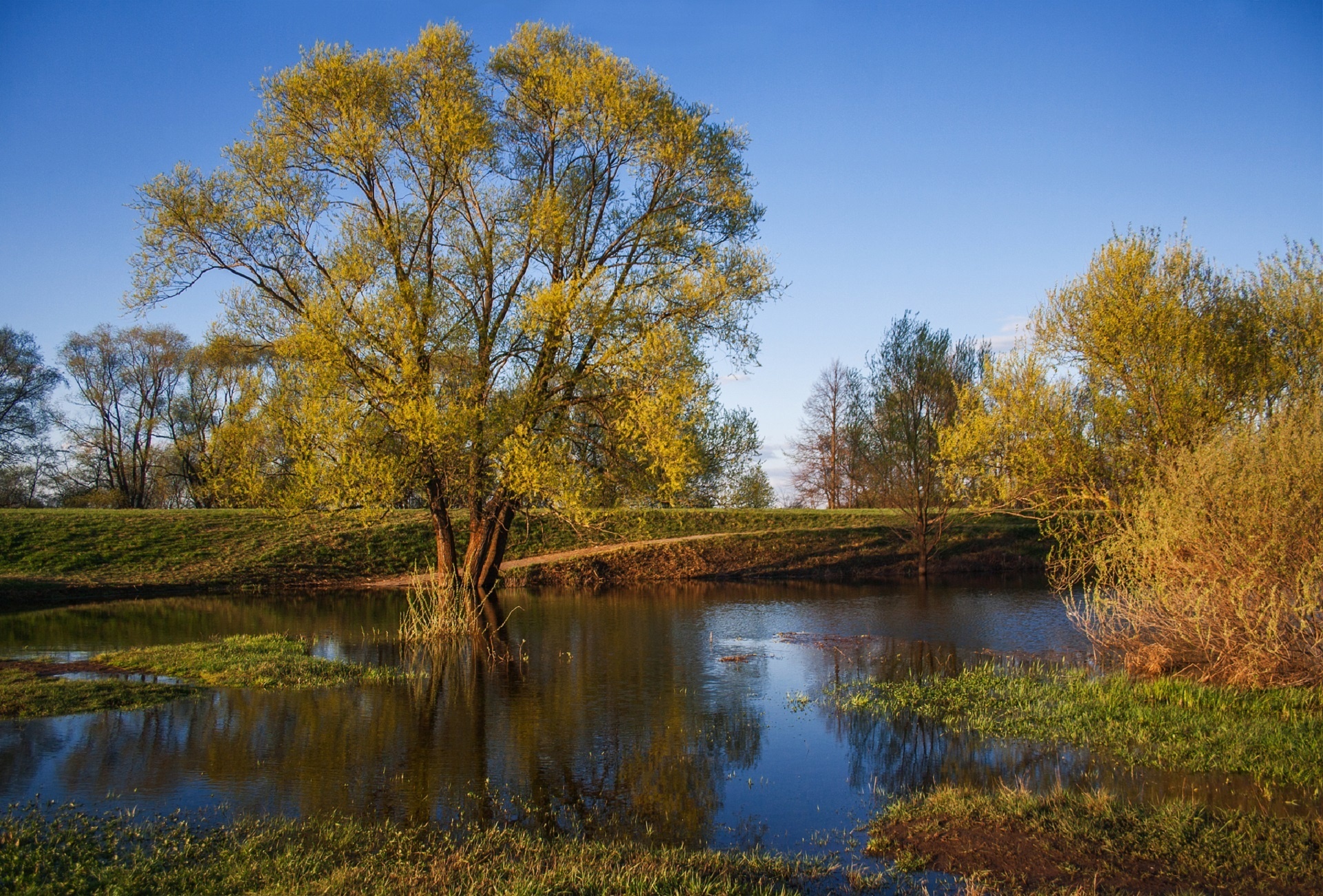 Обои деревья, река, природа, листья, осень, trees, river, nature, leaves, autumn разрешение 1920x1301 Загрузить