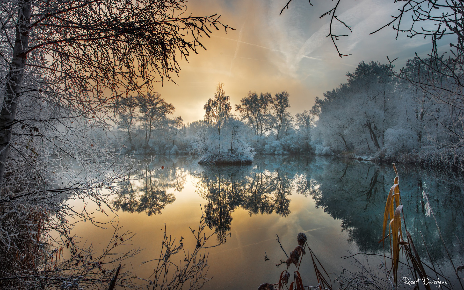 Обои деревья, вода, утро, туман, мороз, иней, trees, water, morning, fog, frost разрешение 1920x1200 Загрузить