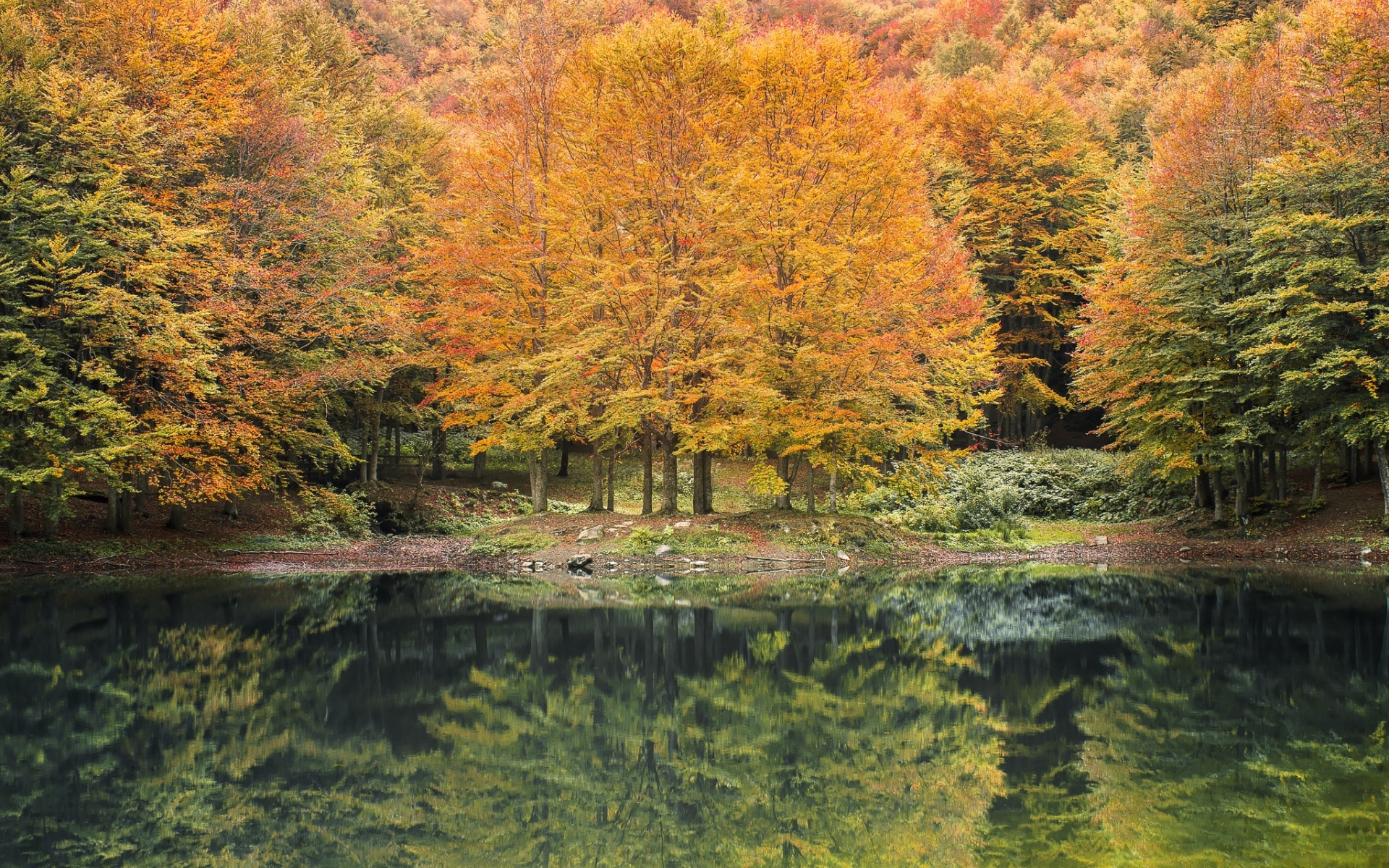 Осень вода отражение лес речка скачать