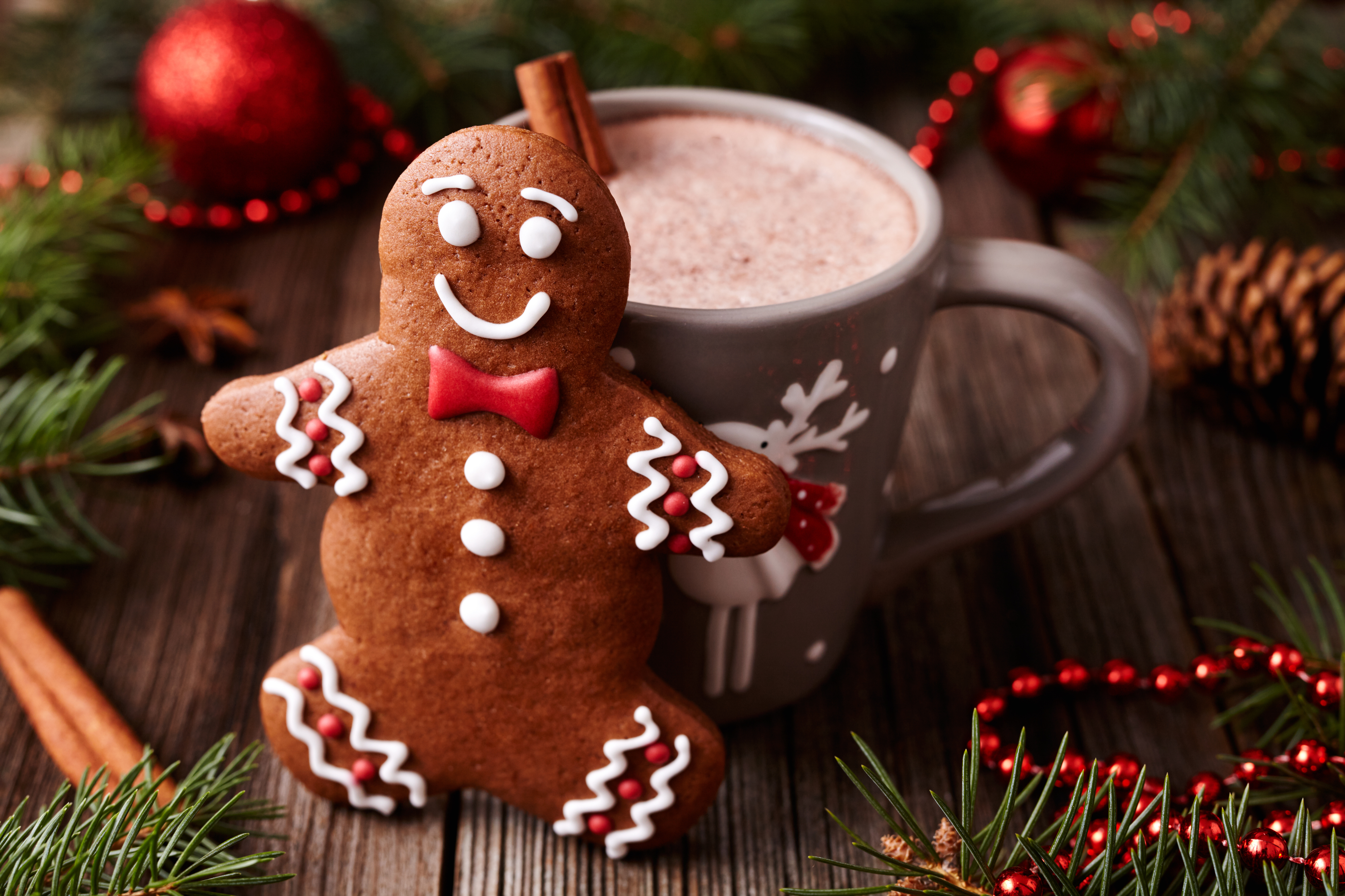 Обои горячий шоколад, новый год, пряники, украшения, пряничный человечек, корица, праздники, чашка, рождество, печенье, какао, hot chocolate, new year, gingerbread, decoration, the gingerbread man, cinnamon, holidays, cup, christmas, cookies, cocoa разрешение 5616x3744 Загрузить