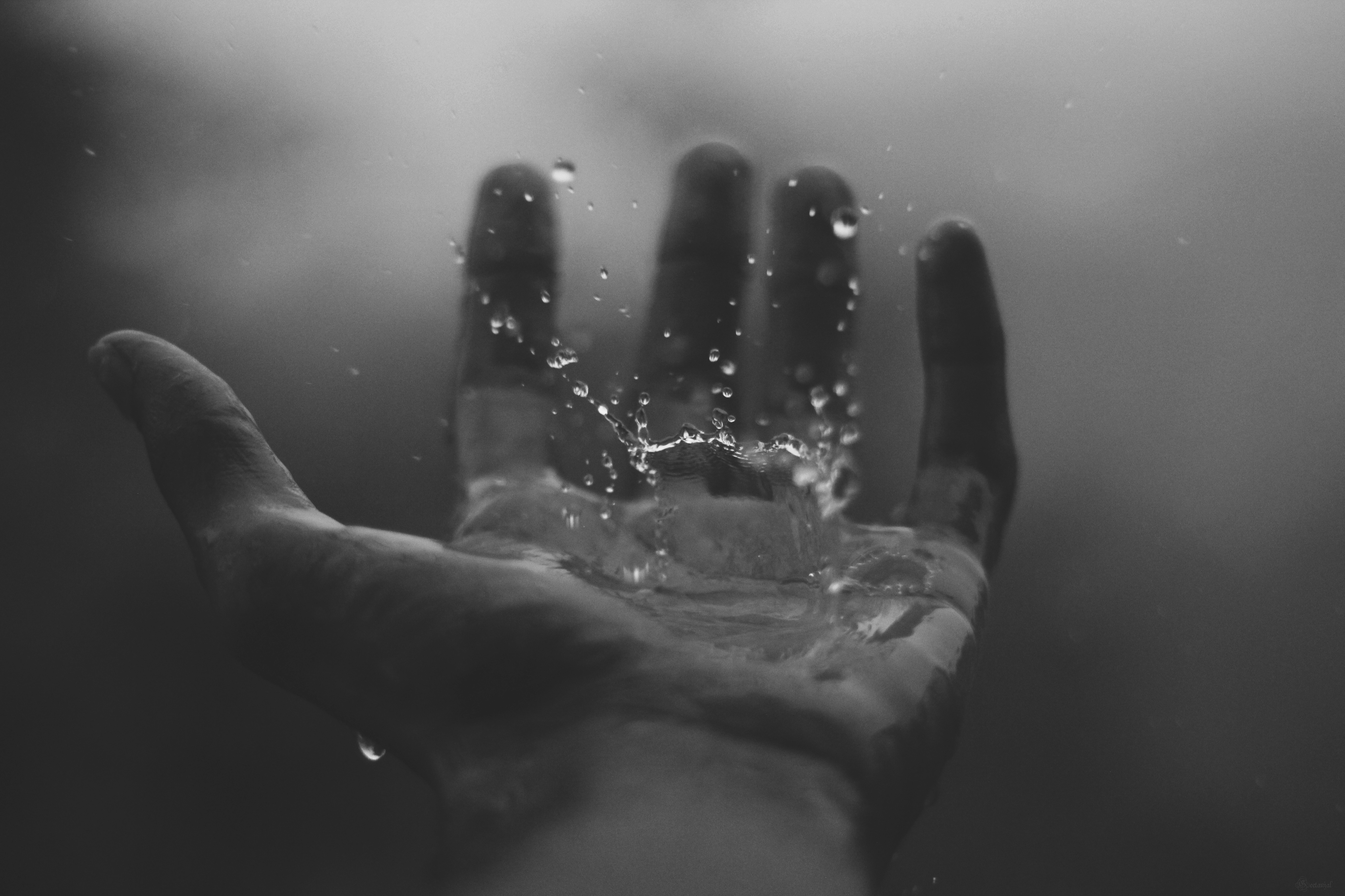 Обои рука, капли, чёрно-белое, дождь, капли воды, hand, drops, black and white, rain, water drops разрешение 5184x3456 Загрузить