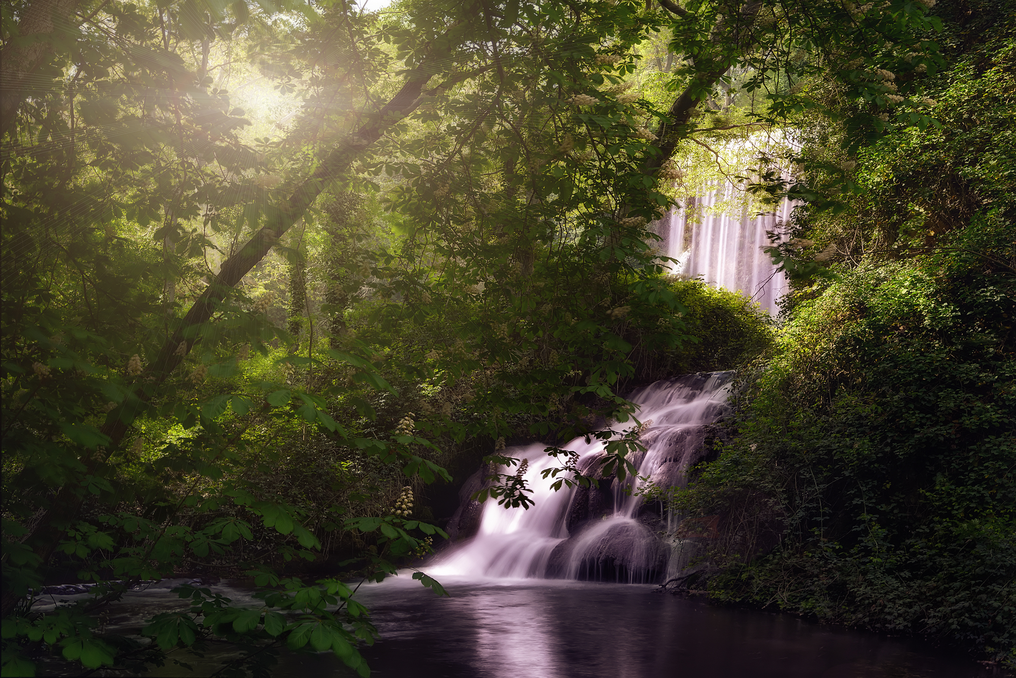 водопад речка лес waterfall the river forest без смс