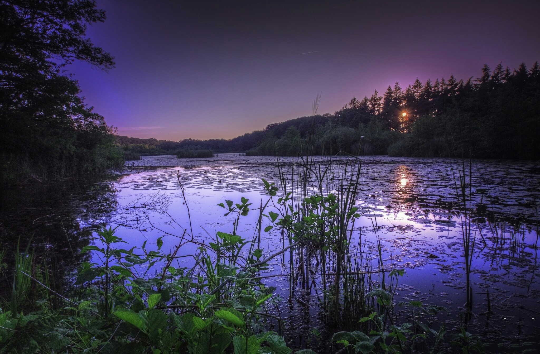 Обои трава, озеро, природа, лес, закат, grass, lake, nature, forest, sunset разрешение 2048x1342 Загрузить