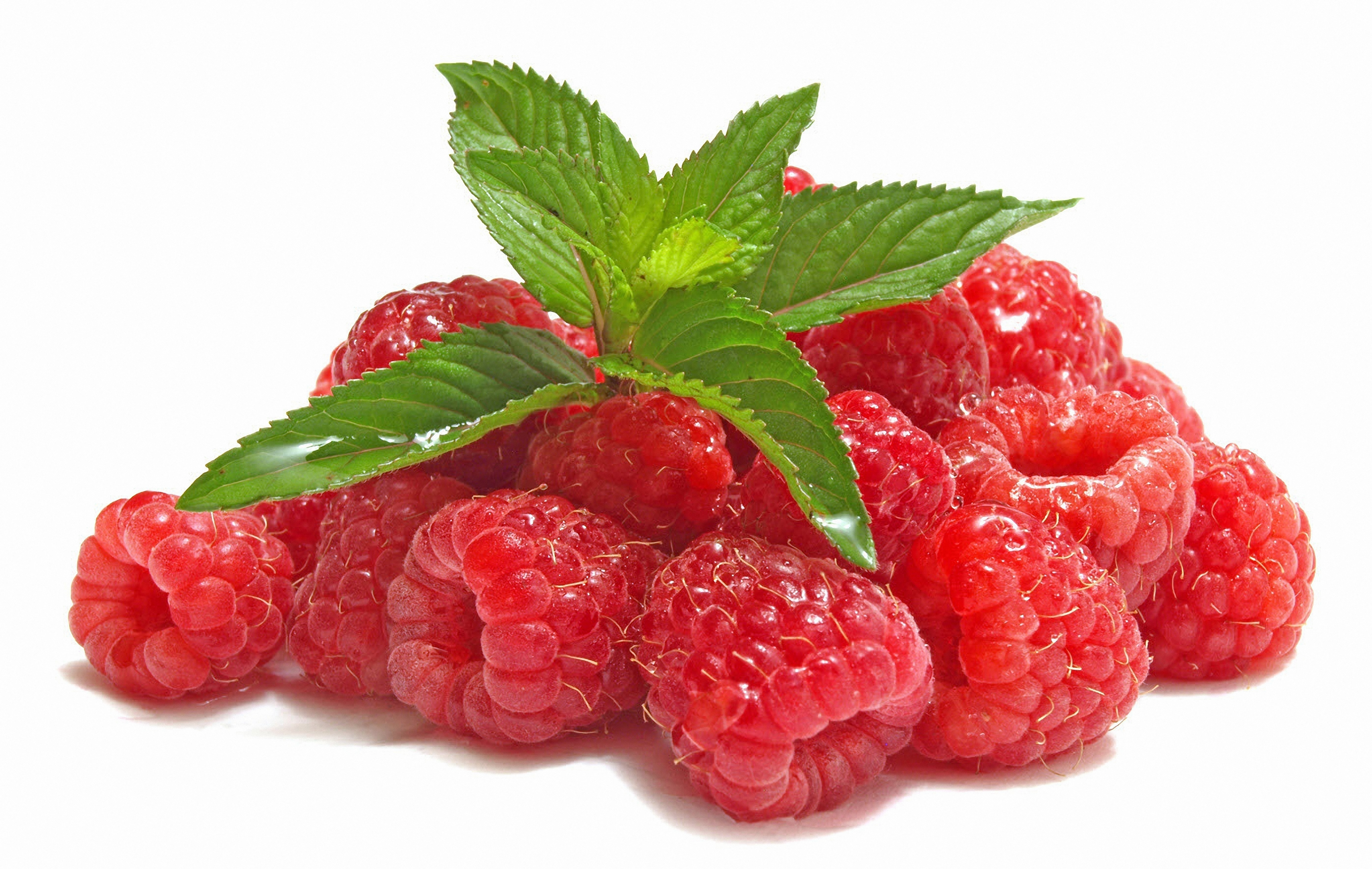 Обои листья, малина, ягода, белый фон, leaves, raspberry, berry, white background разрешение 5584x3536 Загрузить