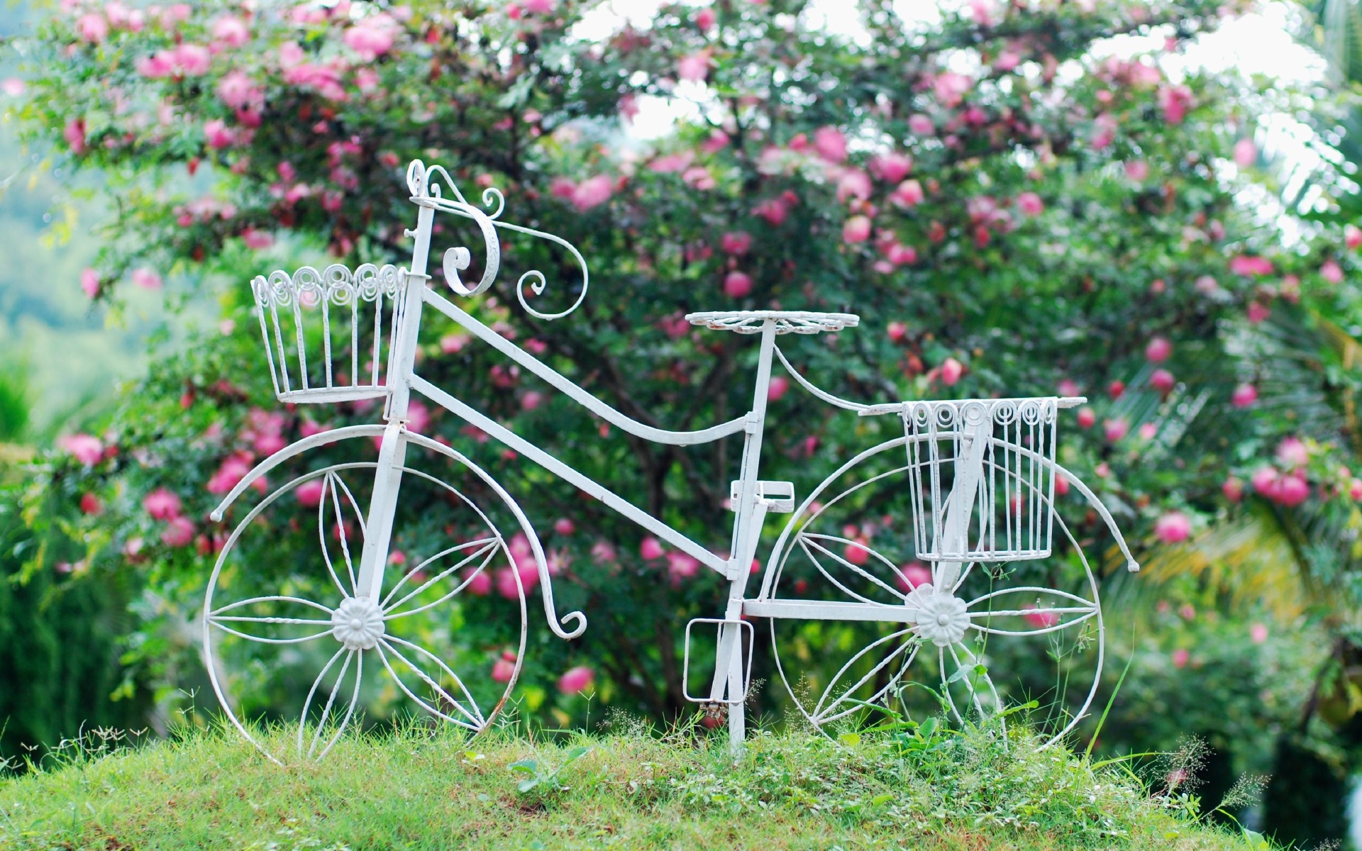 Обои цветы, трава, листья, фон, колеса, корзина, велосипед, flowers, grass, leaves, background, wheel, basket, bike разрешение 1920x1200 Загрузить