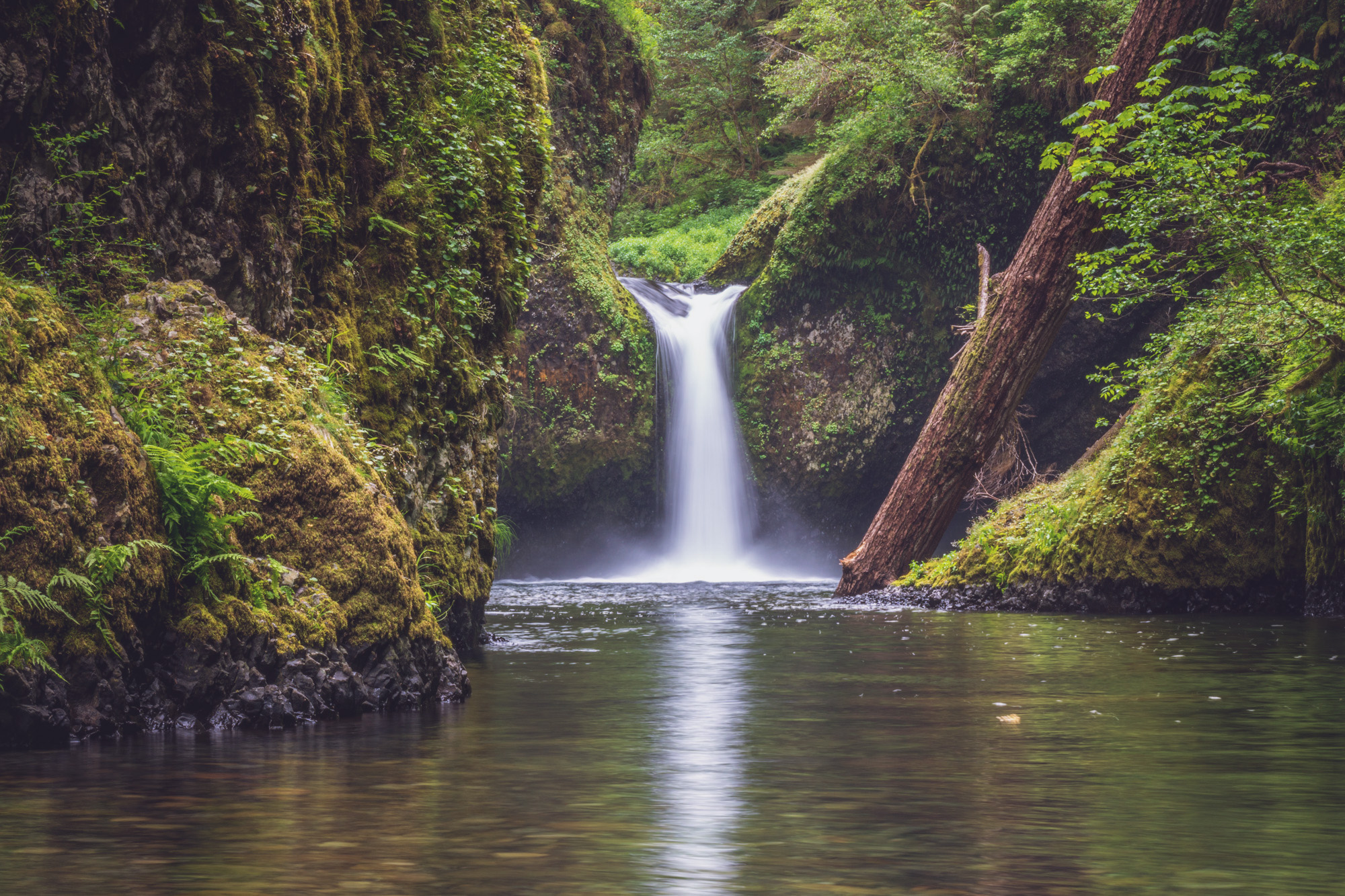 Обои вода, punchbowl falls, columbia river gorge, река, природа, растения, лес, водопад, поток, джунгли, water, river, nature, plants, forest, waterfall, stream, jungle разрешение 2000x1333 Загрузить