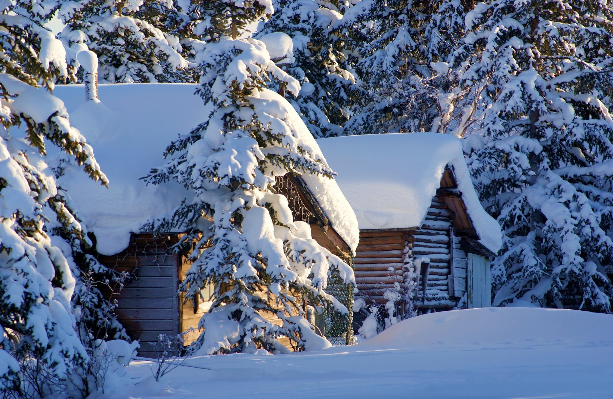 Обои деревья, снег, природа, зима, домики, сша, аляска, trees, snow, nature, winter, houses, usa, alaska разрешение 2048x1333 Загрузить