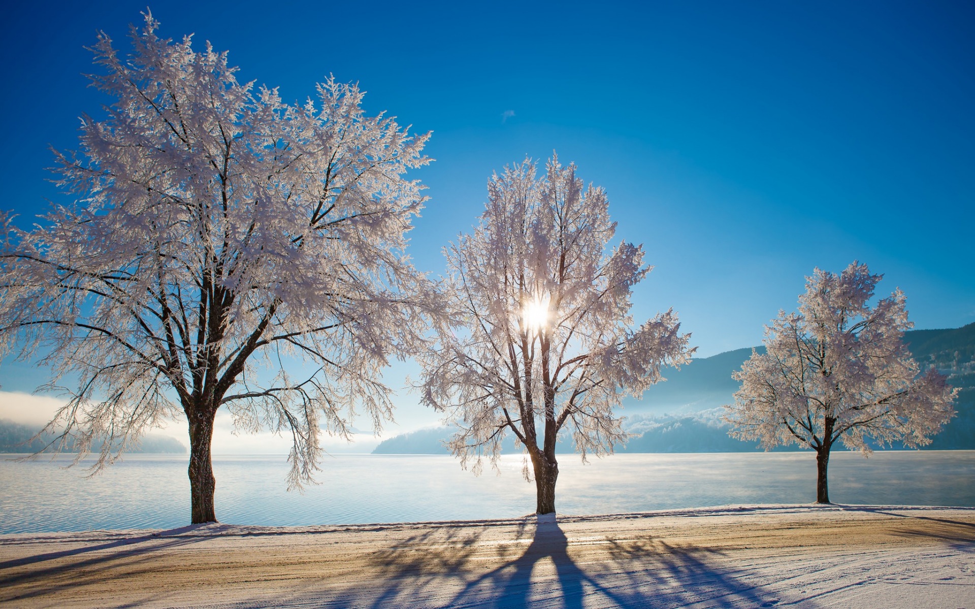 Обои деревья, озеро, природа, зима, норвегия, trees, lake, nature, winter, norway разрешение 1920x1200 Загрузить