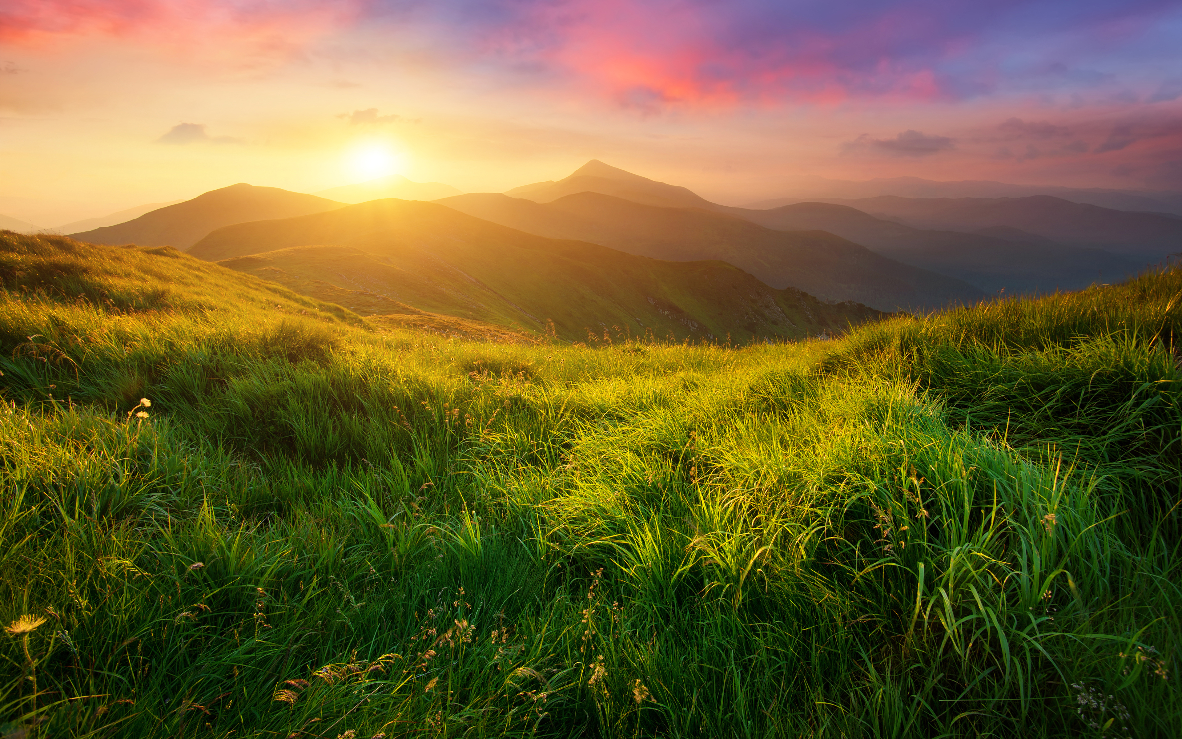 Обои трава, солнце, холмы, природа, пейзаж, луга, biletskyi ievgenii, grass, the sun, hills, nature, landscape, meadows, biletskyi use разрешение 3840x2400 Загрузить