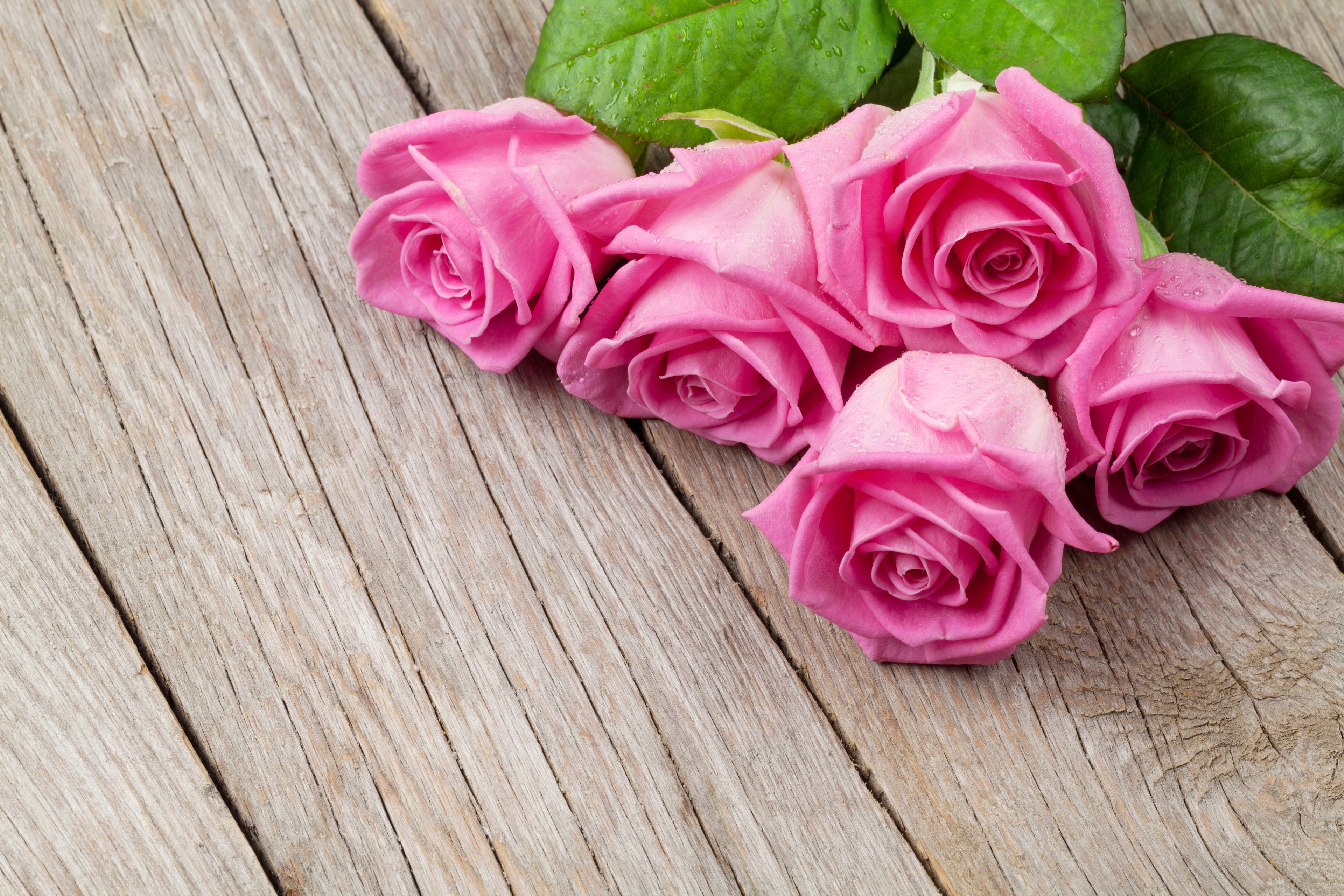 любовь формочки розы бутоны бесплатно