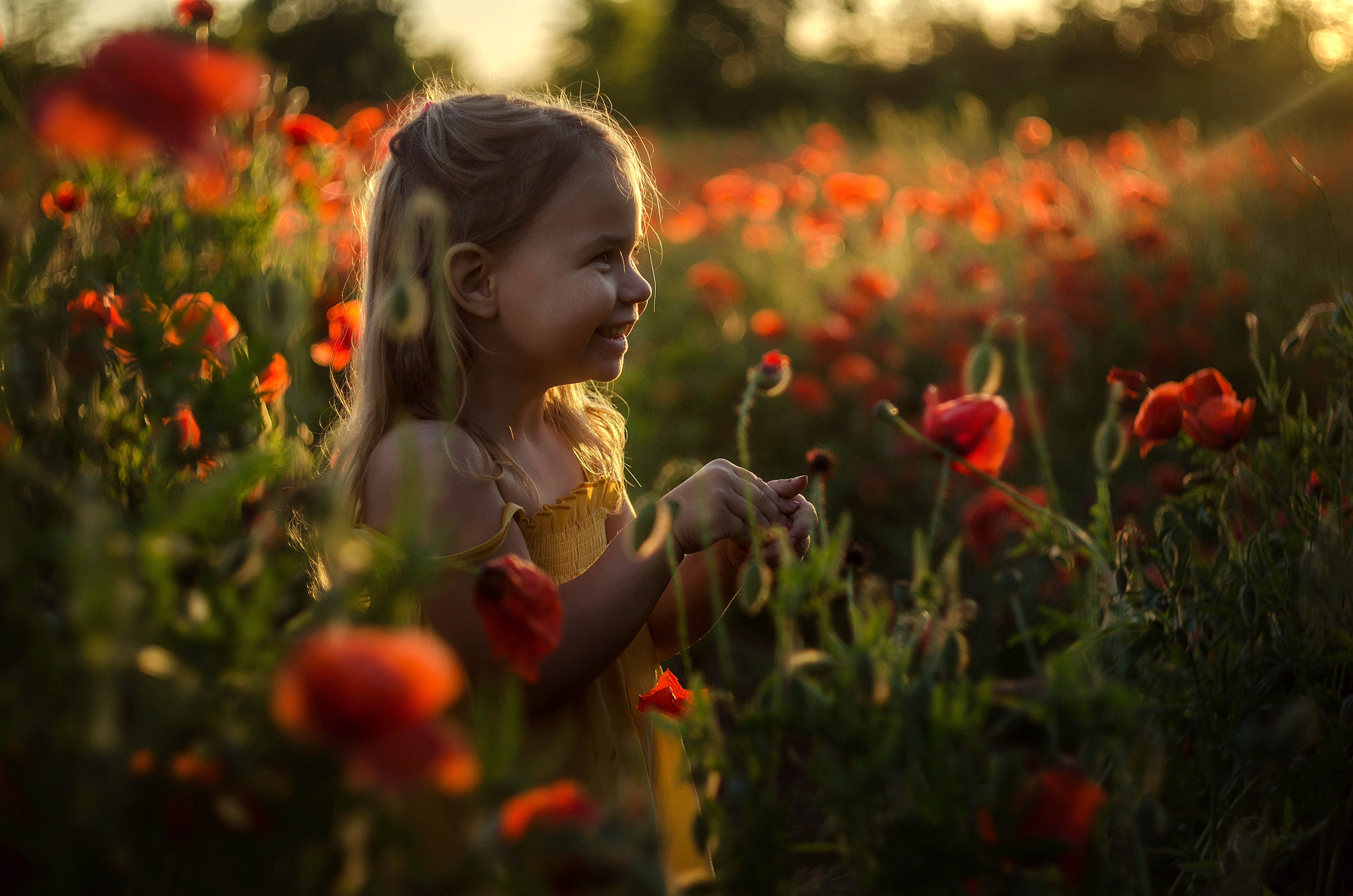 The flowers. Лилия Немыкина фотограф. Детская фотосессия в маках. Цветы для детей. Дети солнце цветы.