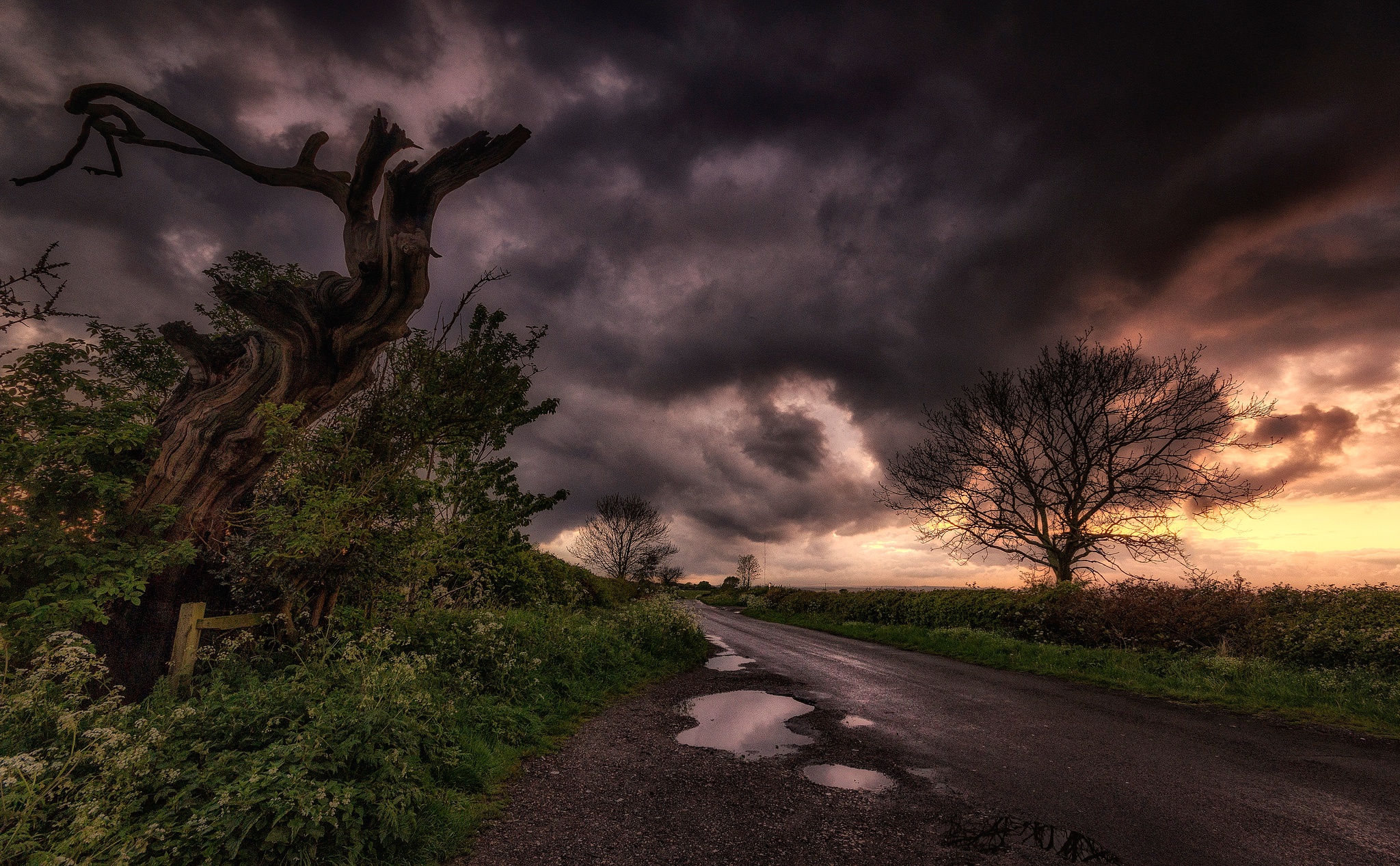 Обои дорога, облака, дерево, тучи, пейзаж, лужа, road, clouds, tree, landscape, puddle разрешение 2048x1267 Загрузить