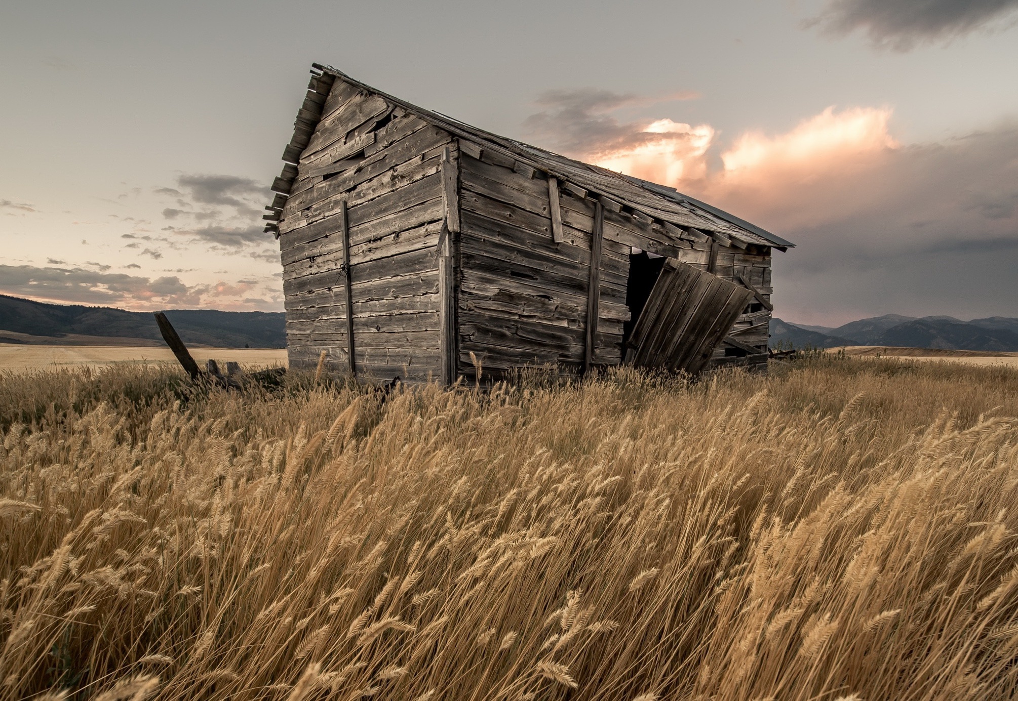 Обои небо, трава, облака, поле, дом, колоски, сарай, the sky, grass, clouds, field, house, spikelets, the barn разрешение 2010x1385 Загрузить