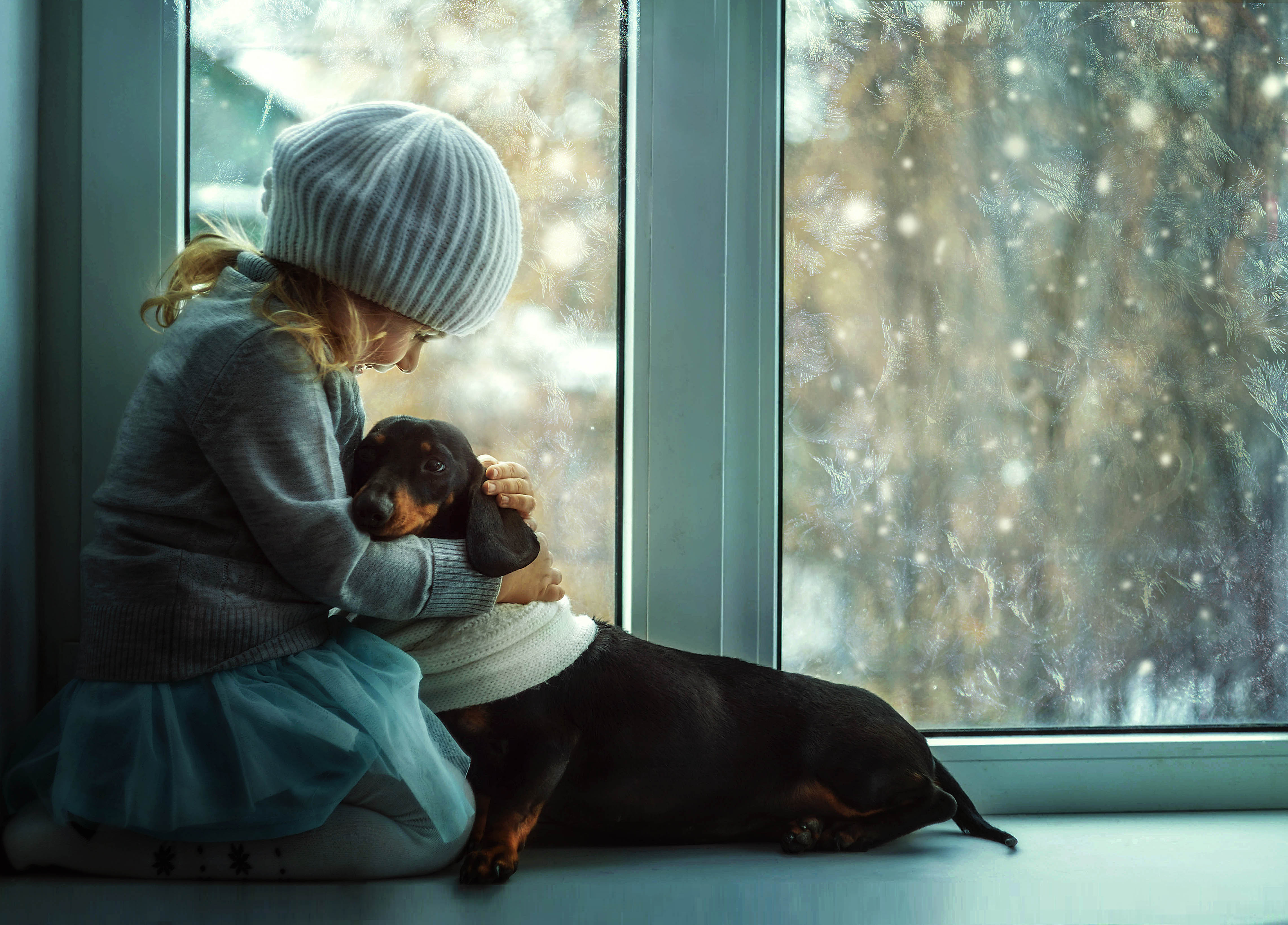 Обои дети, ребенок, шапка, окно, такса, друзья, cобака, gевочка, children, child, hat, window, dachshund, friends, dog, girl разрешение 4566x3282 Загрузить