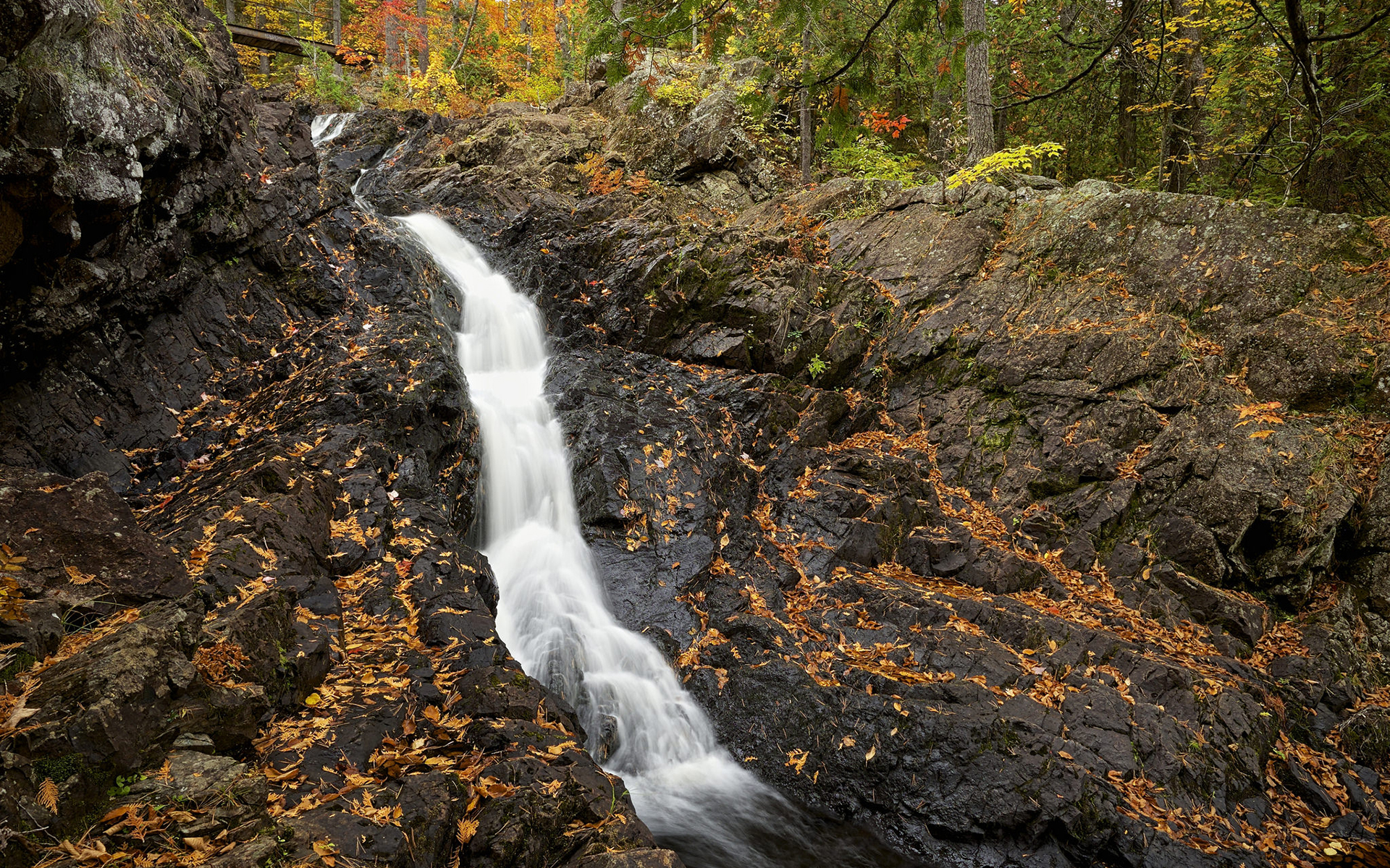Обои деревья, листья, скала, водопад, осень, поток, trees, leaves, rock, waterfall, autumn, stream разрешение 1920x1200 Загрузить