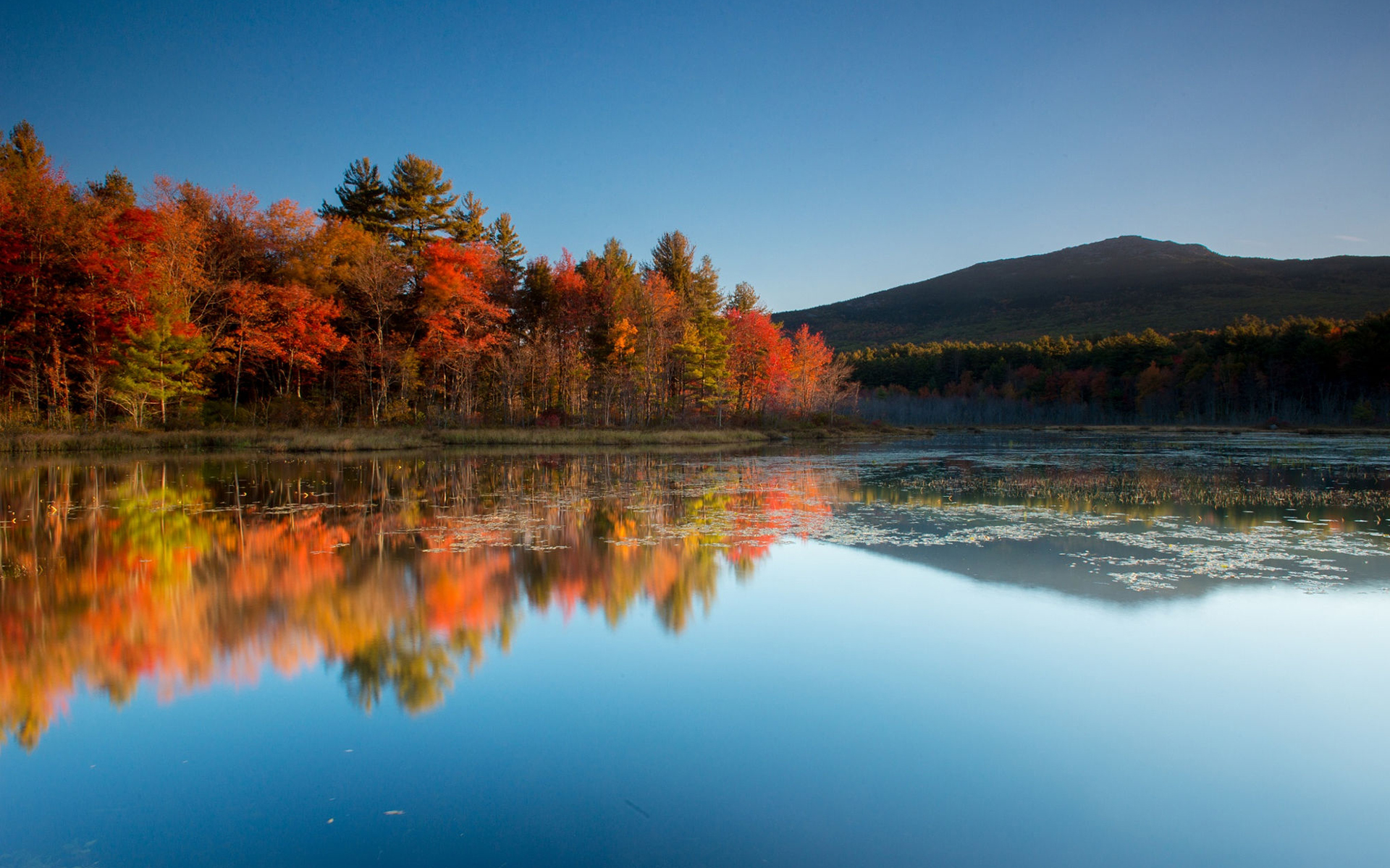 Обои небо, деревья, озеро, горы, природа, отражение, осень, the sky, trees, lake, mountains, nature, reflection, autumn разрешение 1920x1200 Загрузить