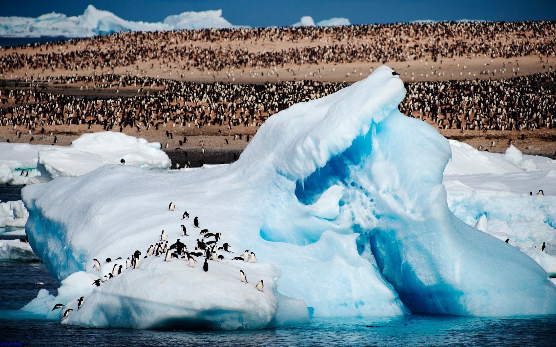 Обои лёд, птицы, льдины, пингвины, ice, birds, penguins разрешение 1920x1200 Загрузить