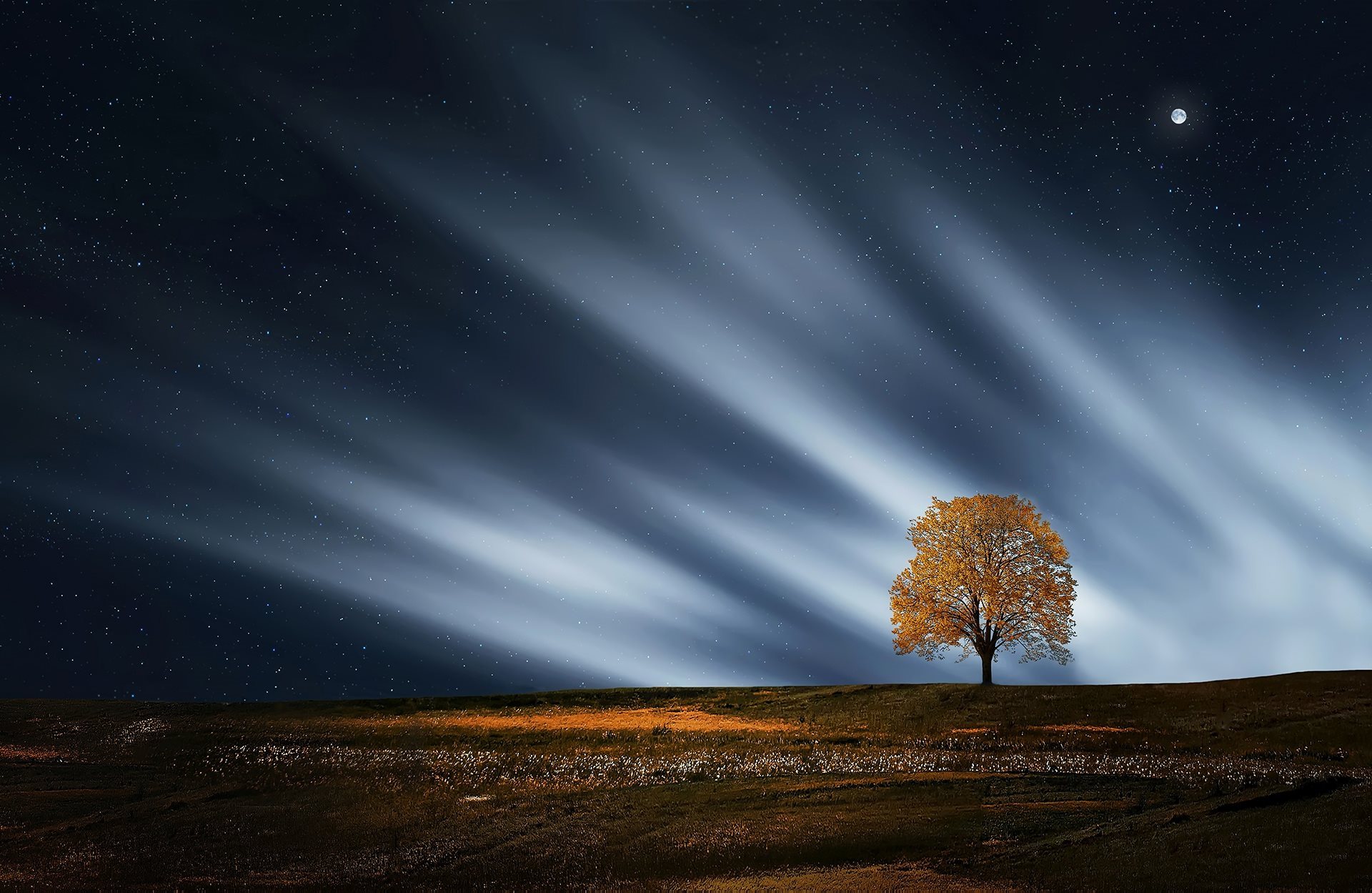 Обои ночь, природа, дерево, пейзаж, звезды, луна, night, nature, tree, landscape, stars, the moon разрешение 1920x1249 Загрузить