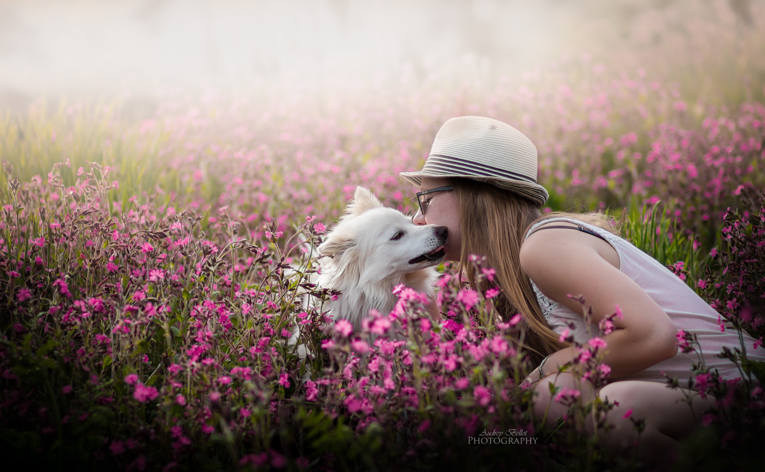Обои цветы, девушка, собака, весна, flowers, girl, dog, spring разрешение 2560x1582 Загрузить