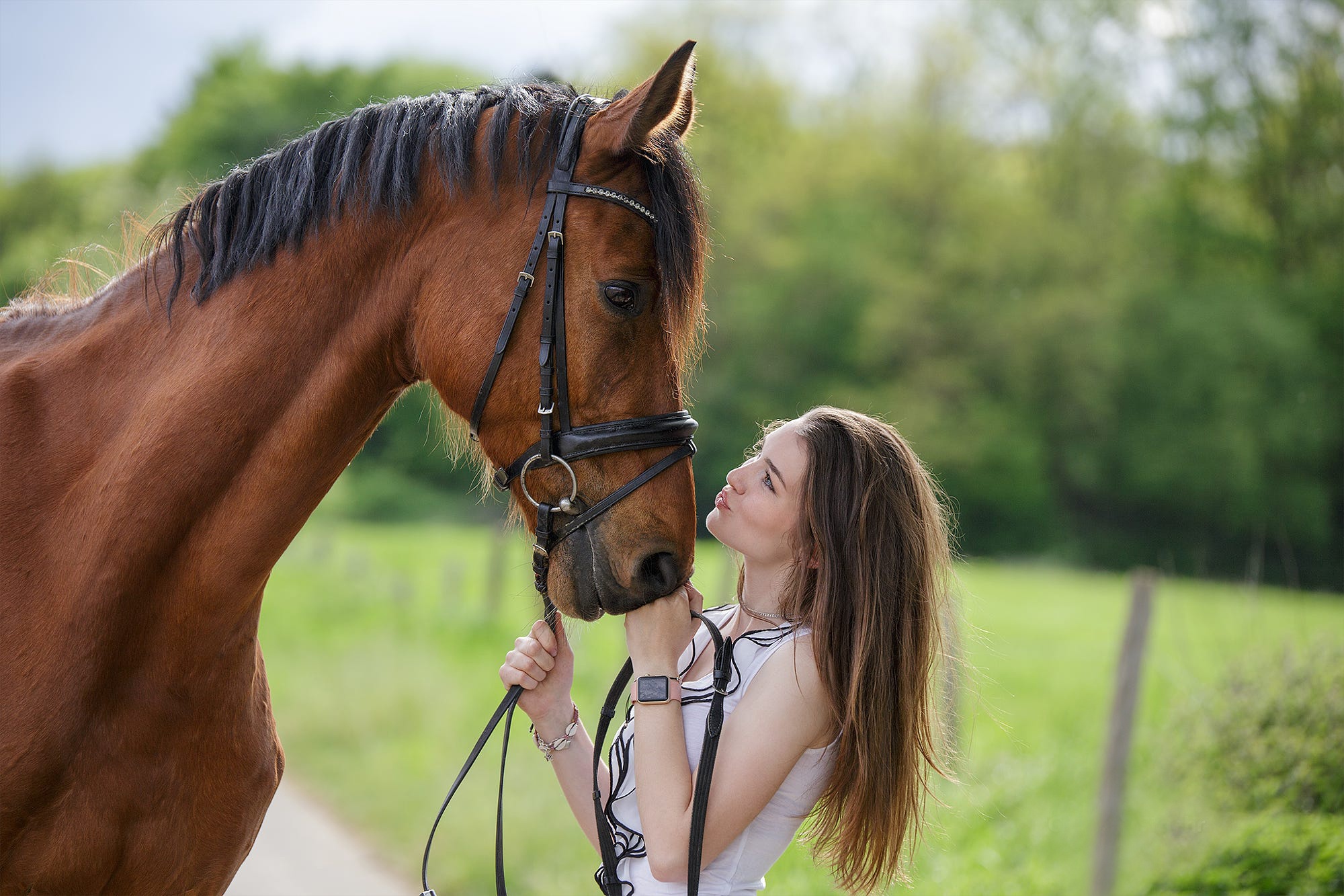 Фотографии с лошадьми и с девушкой
