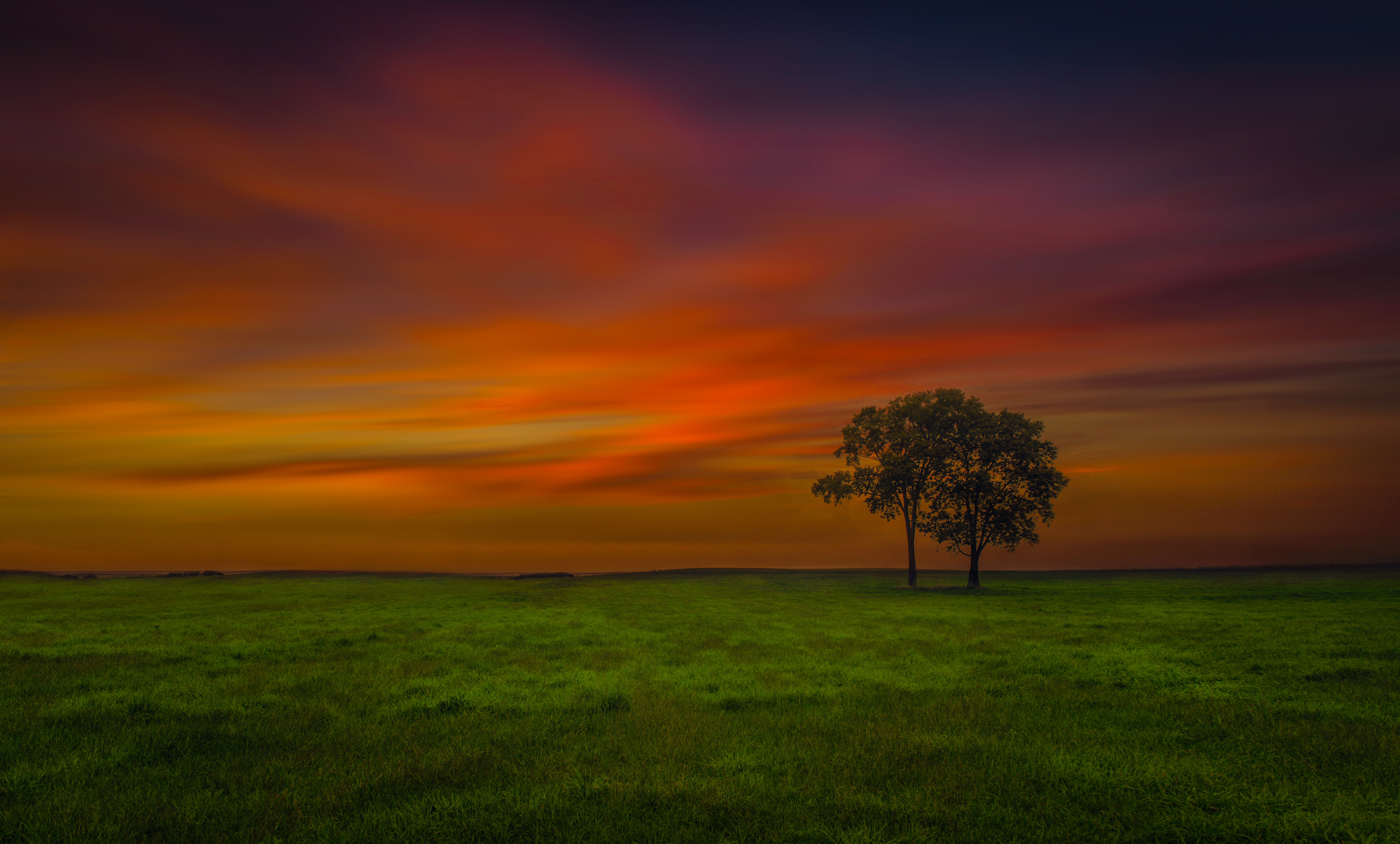 Обои небо, вечер, дерево, поле, the sky, the evening, tree, field разрешение 6452x3888 Загрузить