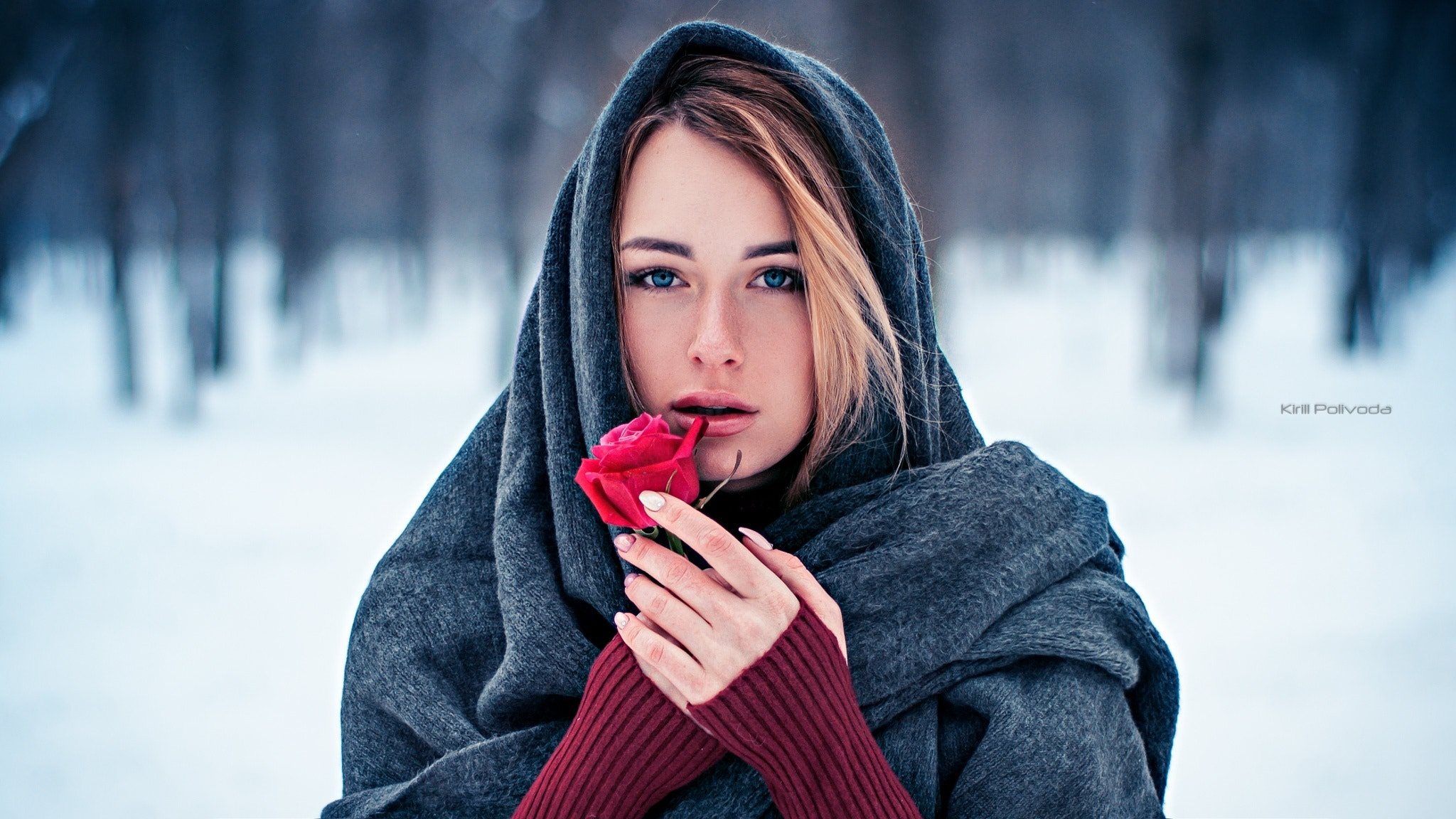 Обои зима, девушка, цветок, роза, платок, winter, girl, flower, rose, shawl разрешение 2048x1152 Загрузить
