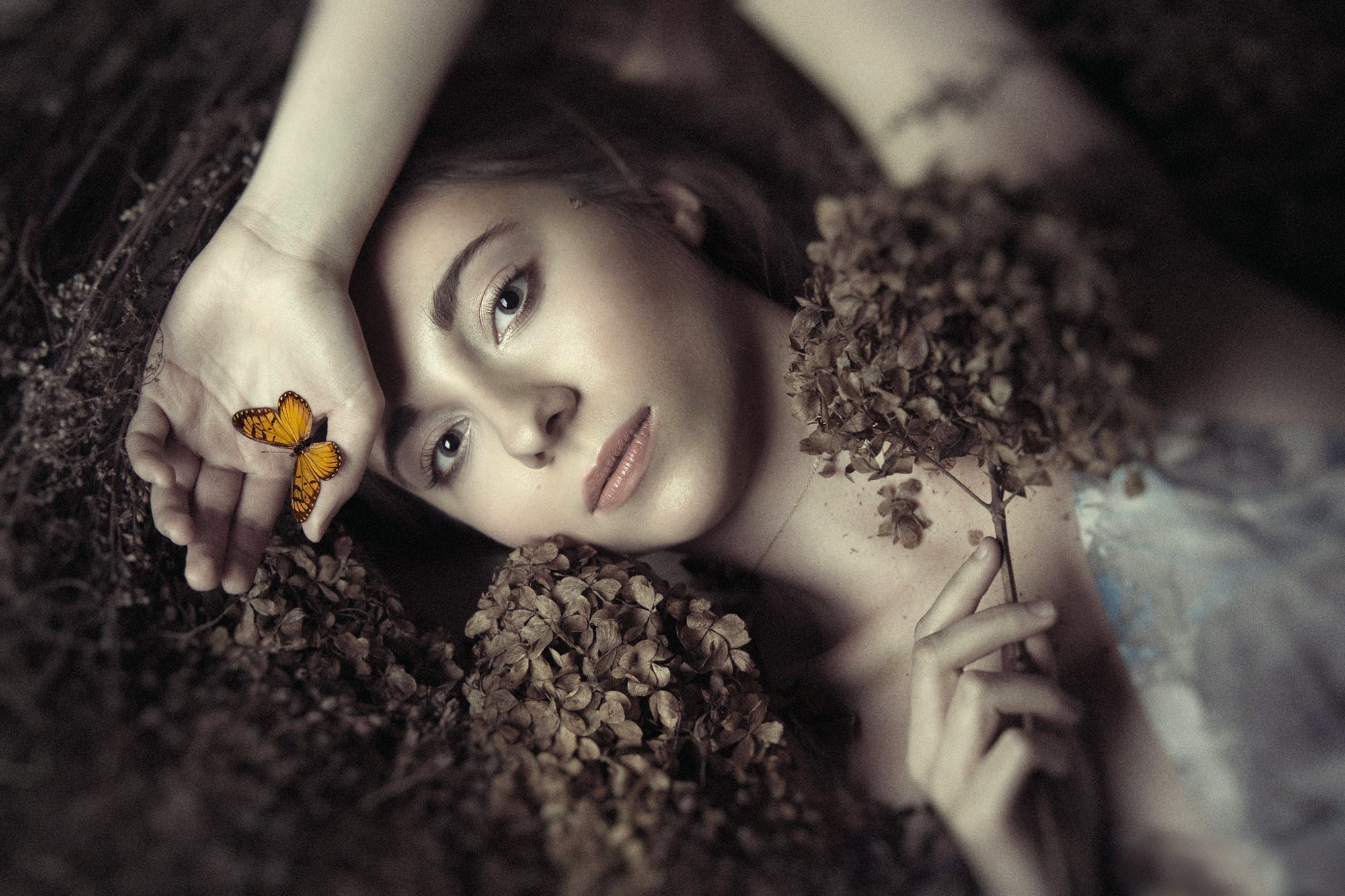 Обои цветы, девушка, портрет, бабочка, модель, фотосессия, ania, flowers, girl, portrait, butterfly, model, photoshoot разрешение 2000x1333 Загрузить