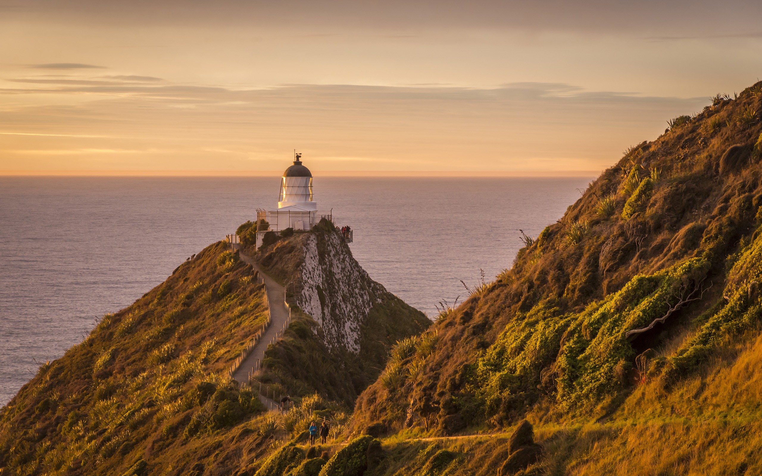 Обои небо, nugget point lighthouse, скалы, море, маяк, побережье, новая зеландия, мыс, кэтлинс, the sky, rocks, sea, lighthouse, coast, new zealand, cape, catlins разрешение 2560x1600 Загрузить