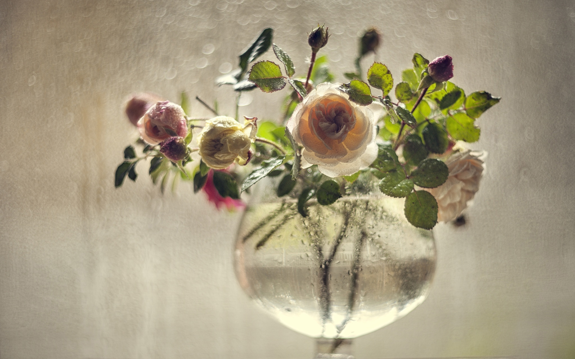 Хрупкая ваза с цветами