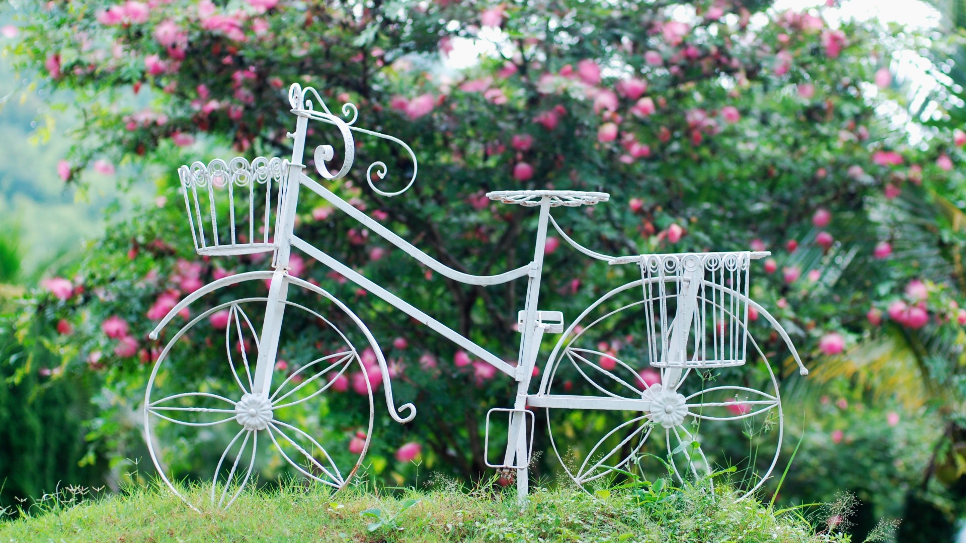 Обои цветы, трава, листья, фон, колеса, корзина, велосипед, flowers, grass, leaves, background, wheel, basket, bike разрешение 1920x1080 Загрузить