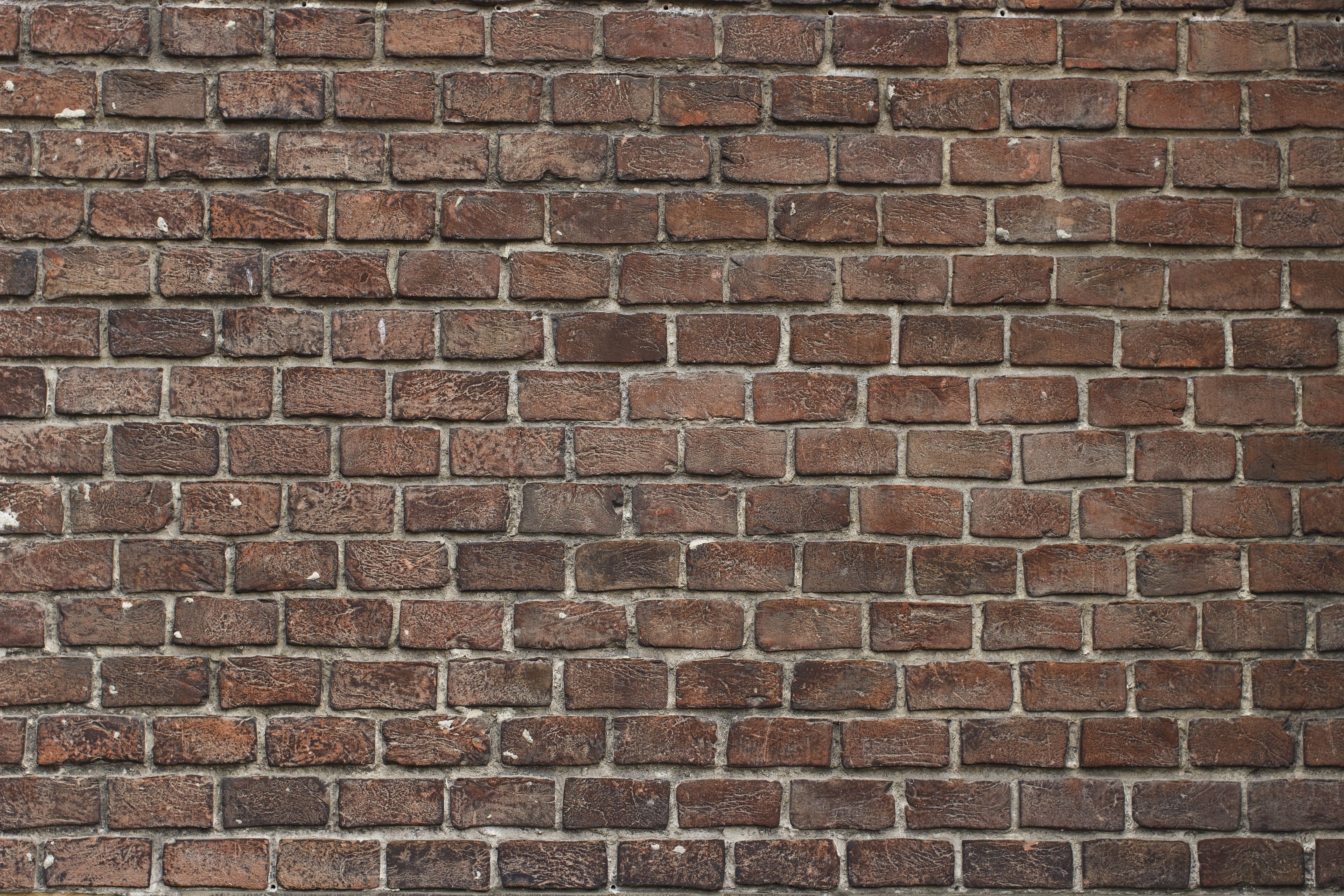 Обои стена, здание, кирпич, кирпичи, кирпичная стена, зодчество, wall, the building, brick, bricks, brick wall, architecture разрешение 5184x3456 Загрузить