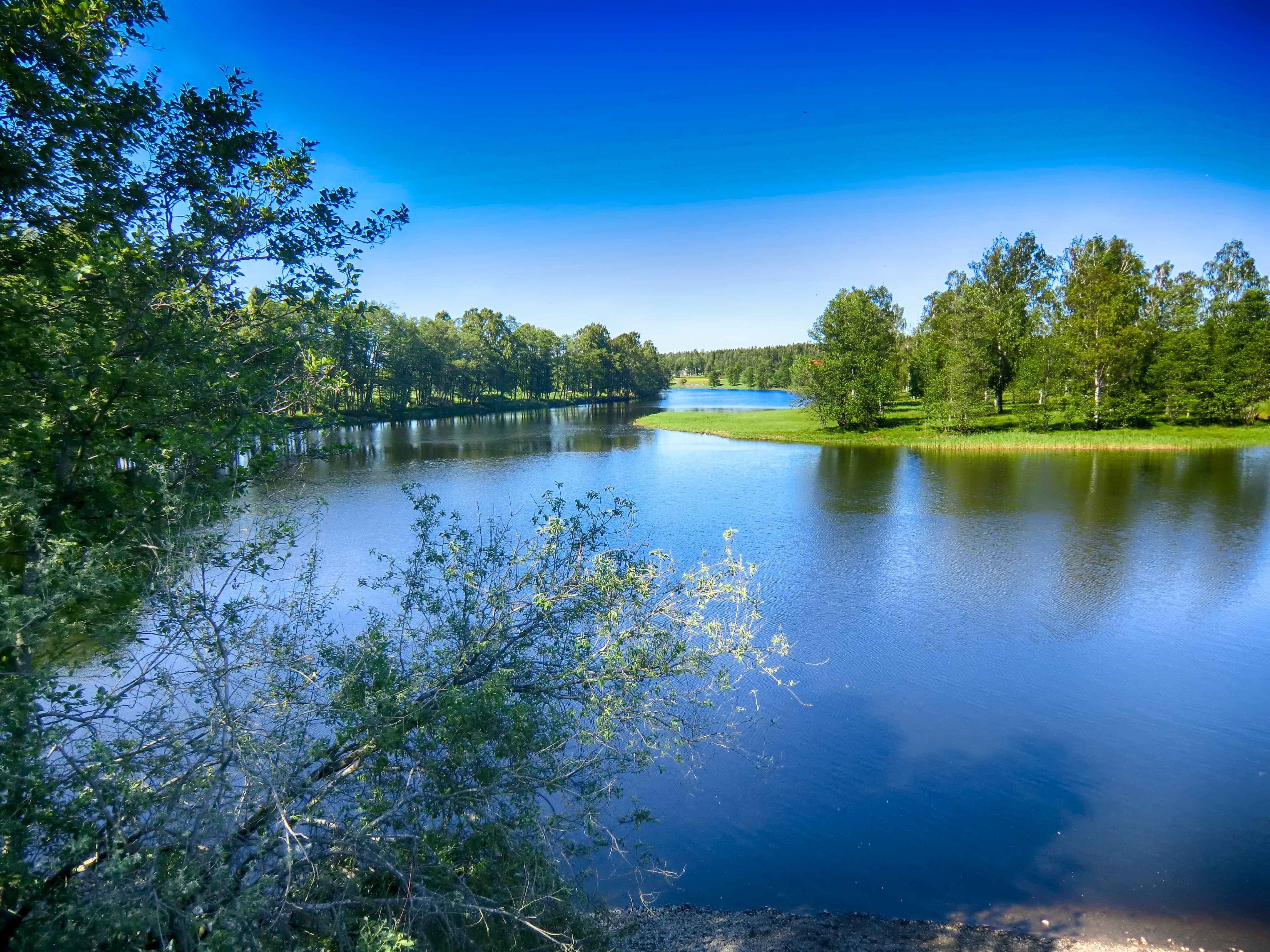 Картинки рек и озер. Лесные озера Белоруссия. Реки и озера Беларуси. Озеро Турнетреск Швеция. Речка чистые пруды.